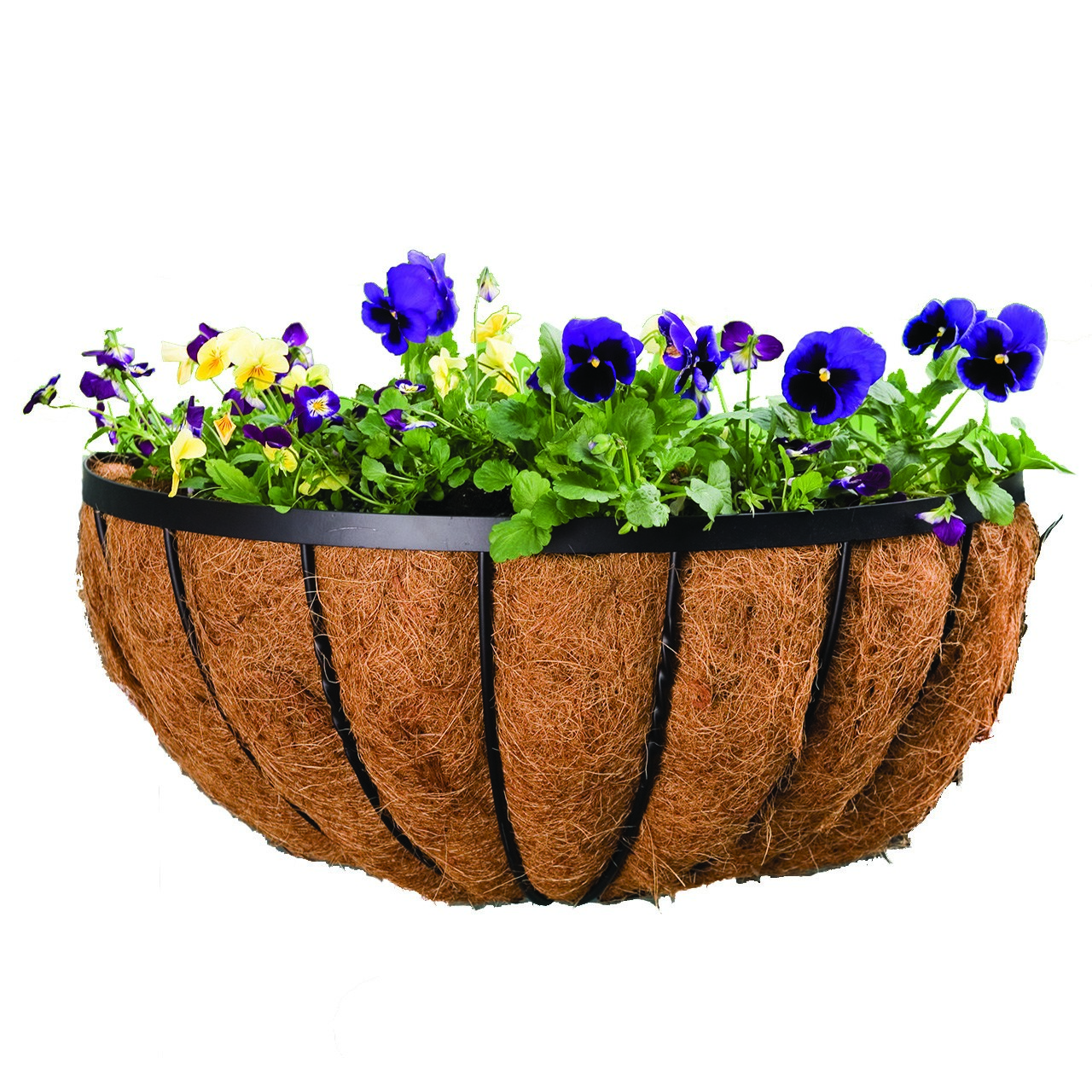 Panacea 16" Wall Planter Black Cotswold — priced per each; minimum 6; multiples of 6