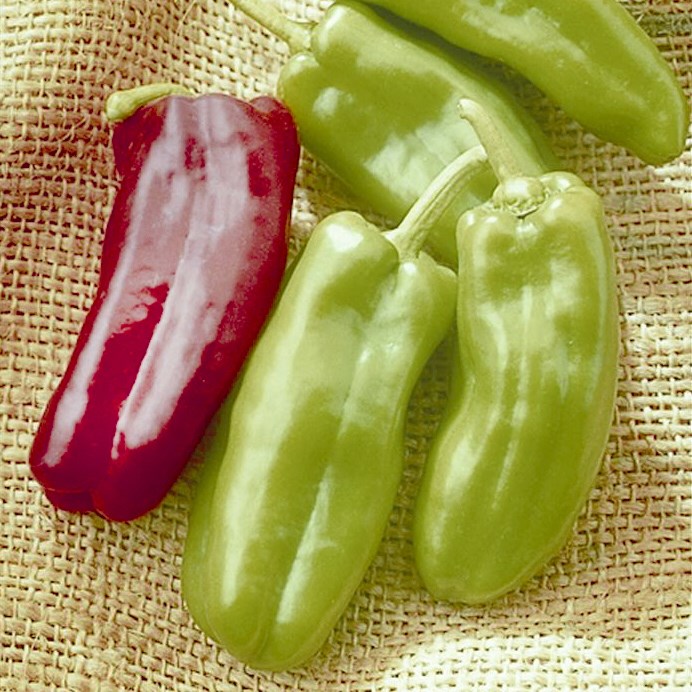 Peppers, Giant Marconi Treated 100 Seed Count