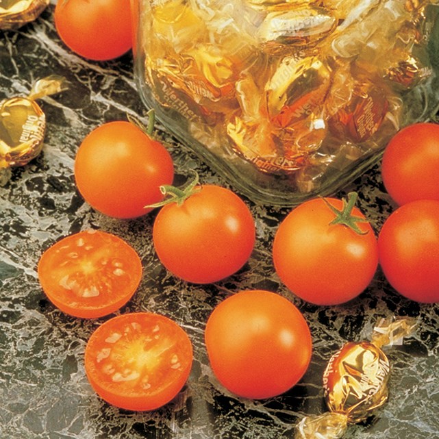 Tomato, Sunsugar 500 Seed Count