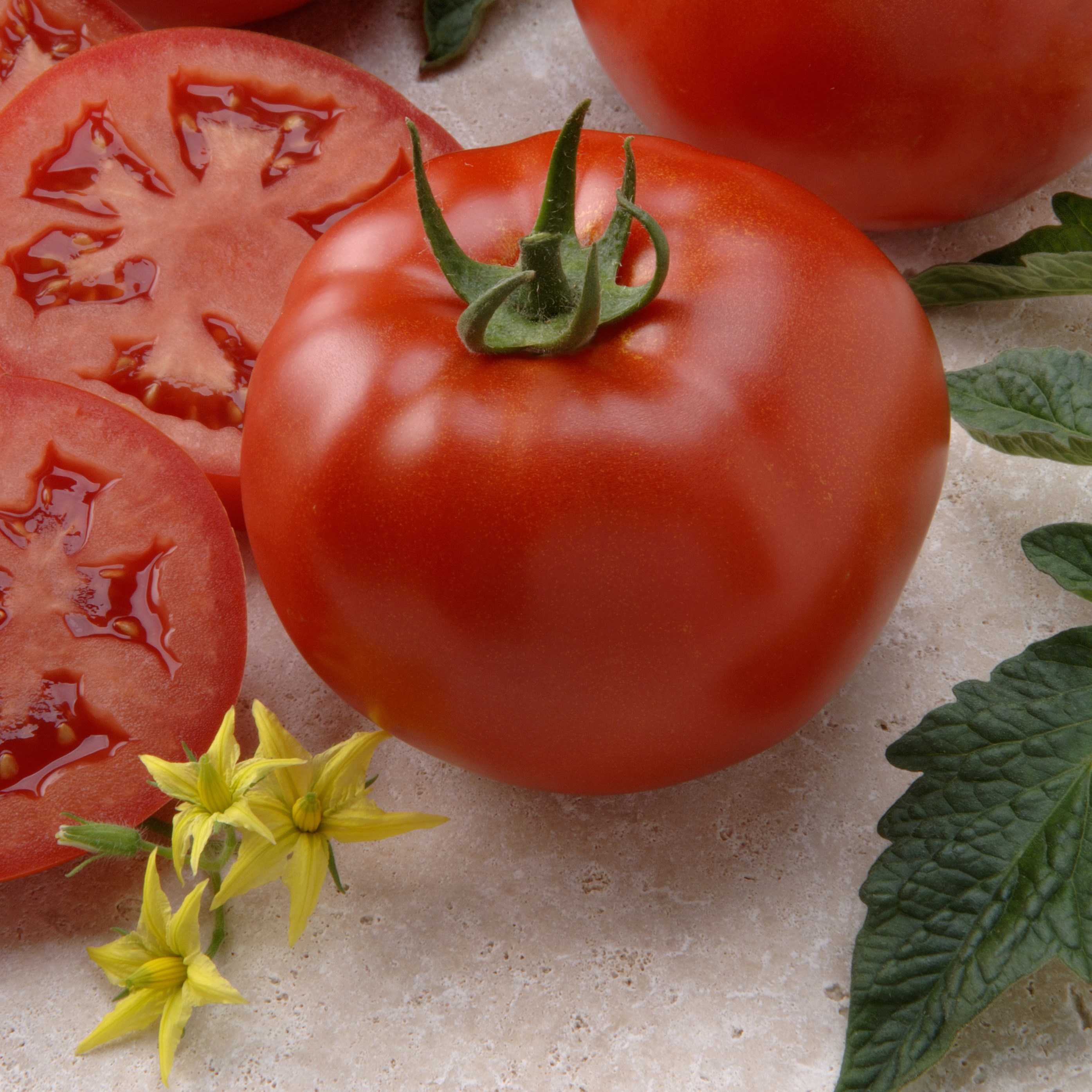 Tomato, Better Boy Treated 100 Seed Count