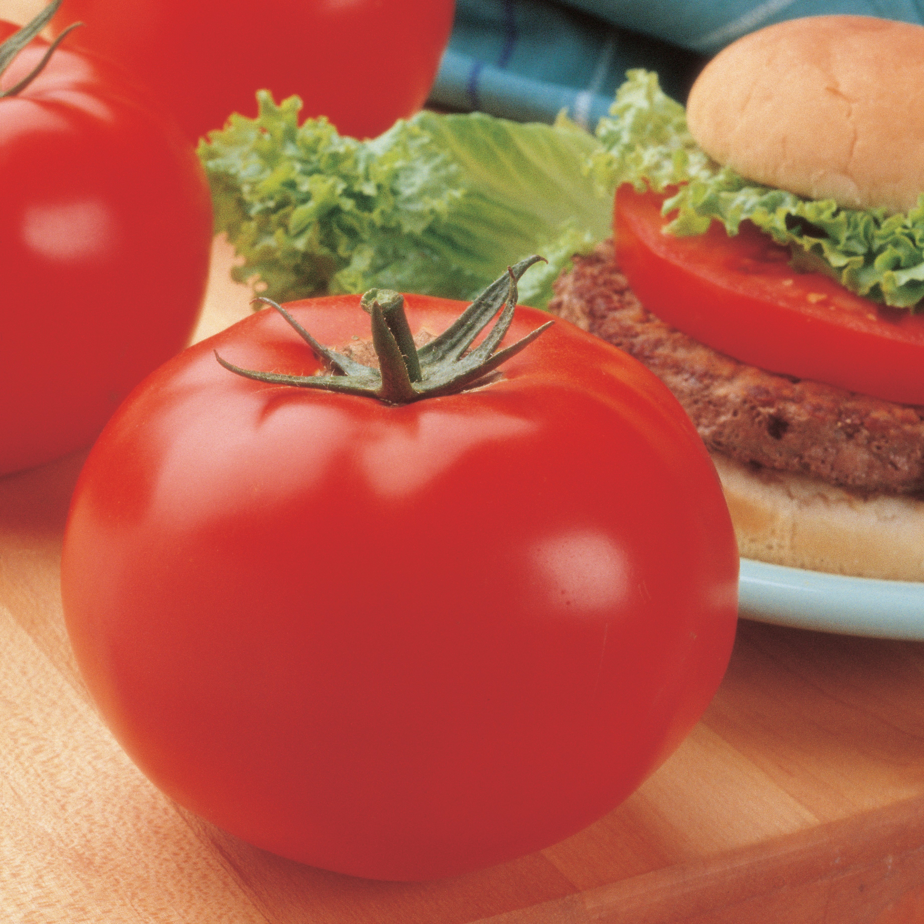 Tomato, Big Beef Treated 100 Seed Count