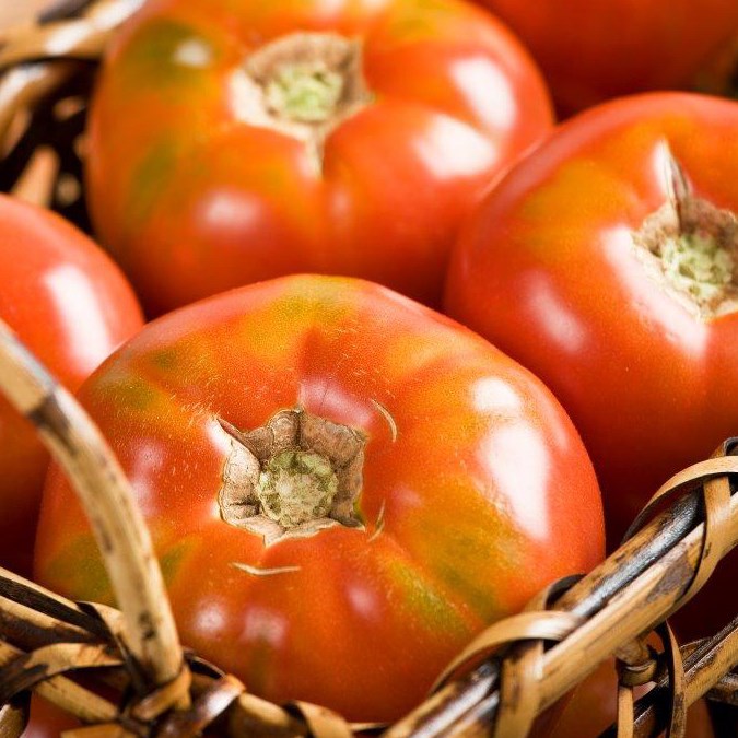 Tomato, Burpees Big Boy Treated 500 Seed Count