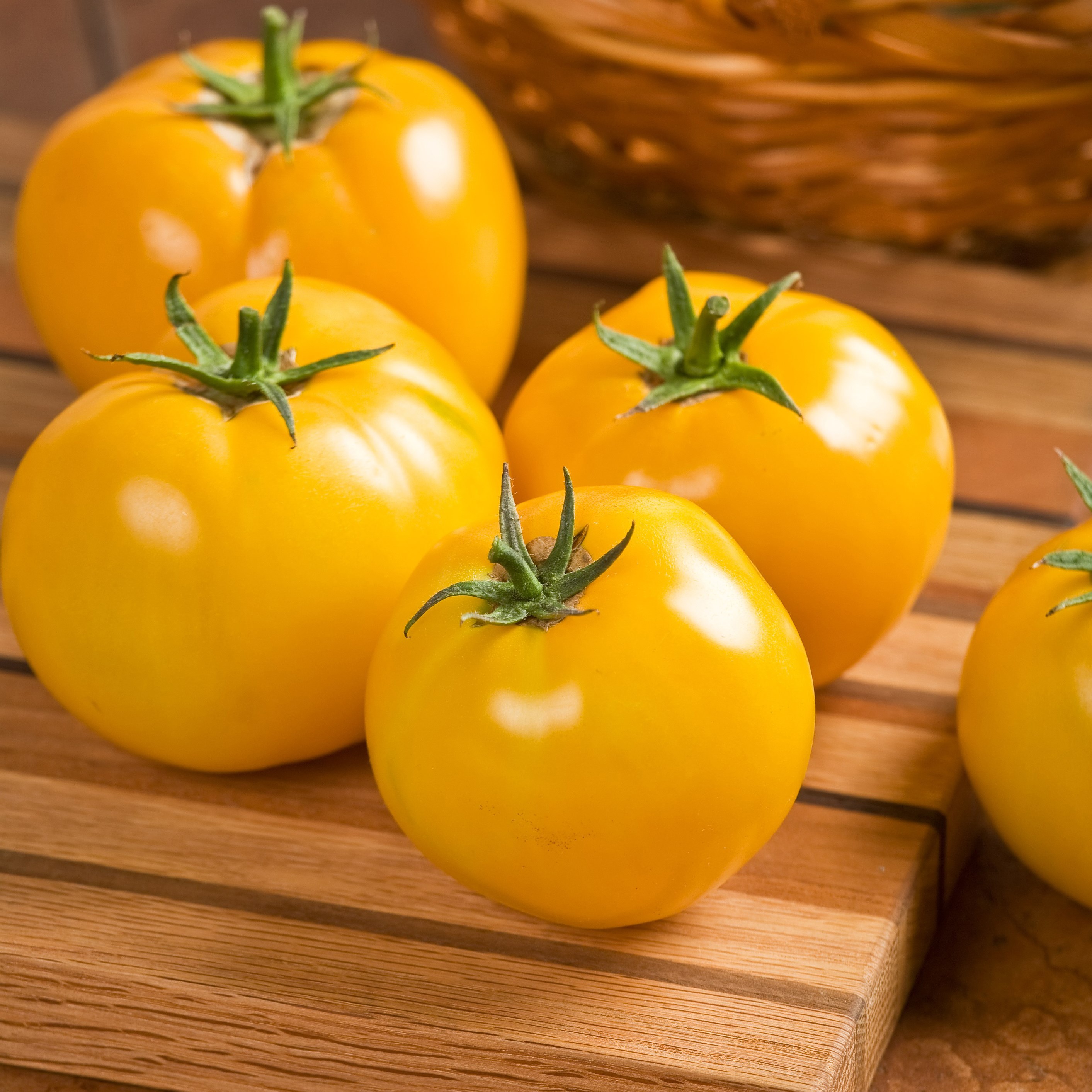 Tomato, Lemon Boy Hybrid Treated 100 Seed Count