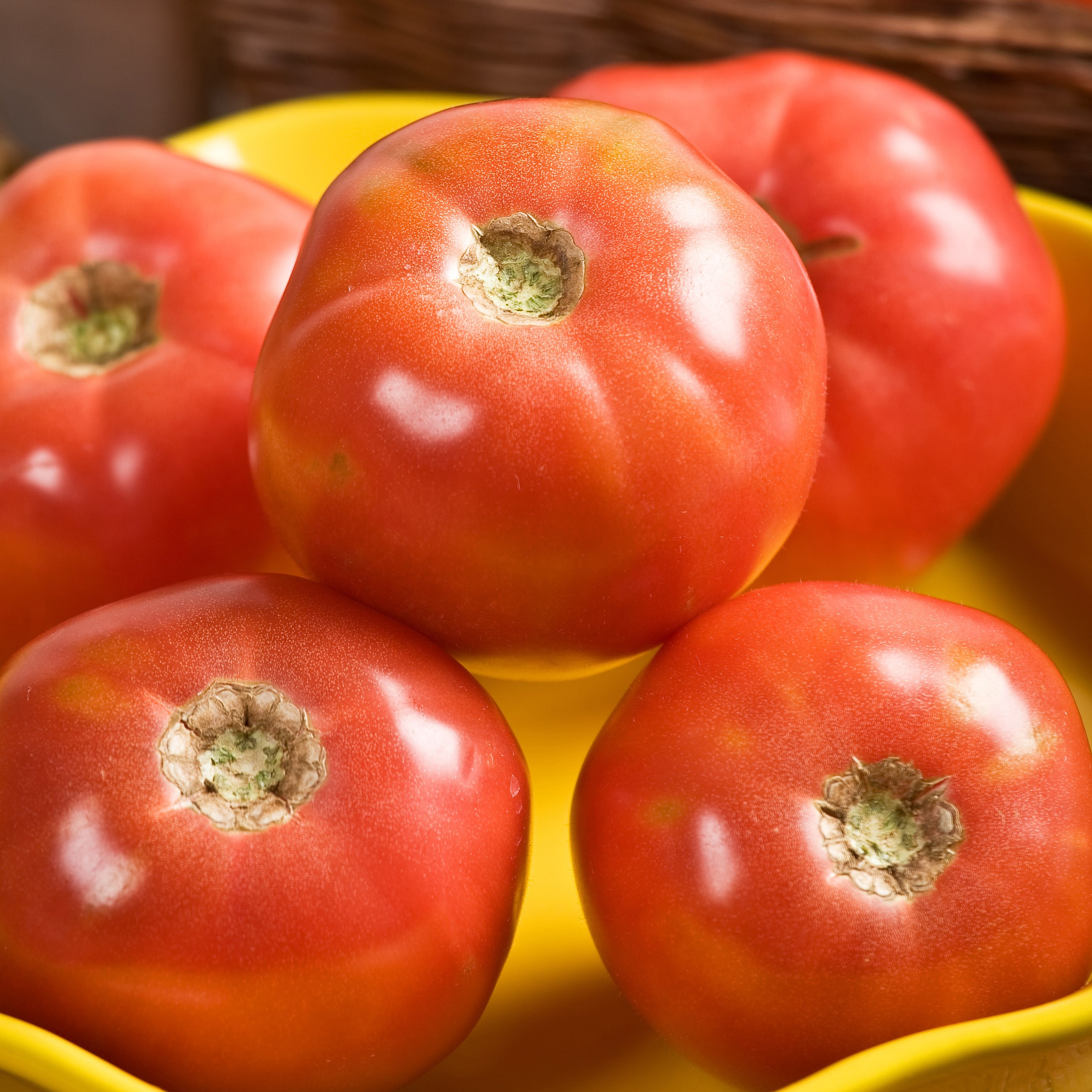 Tomato, Pink Girl Hybrid Treated 100 Seed Count