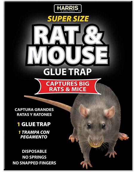 Harris 1pk Black Rat Glue Board — priced per each; minimum 24; multiples of 24