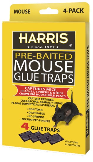 Harris 4pk Mouse Glue Traps