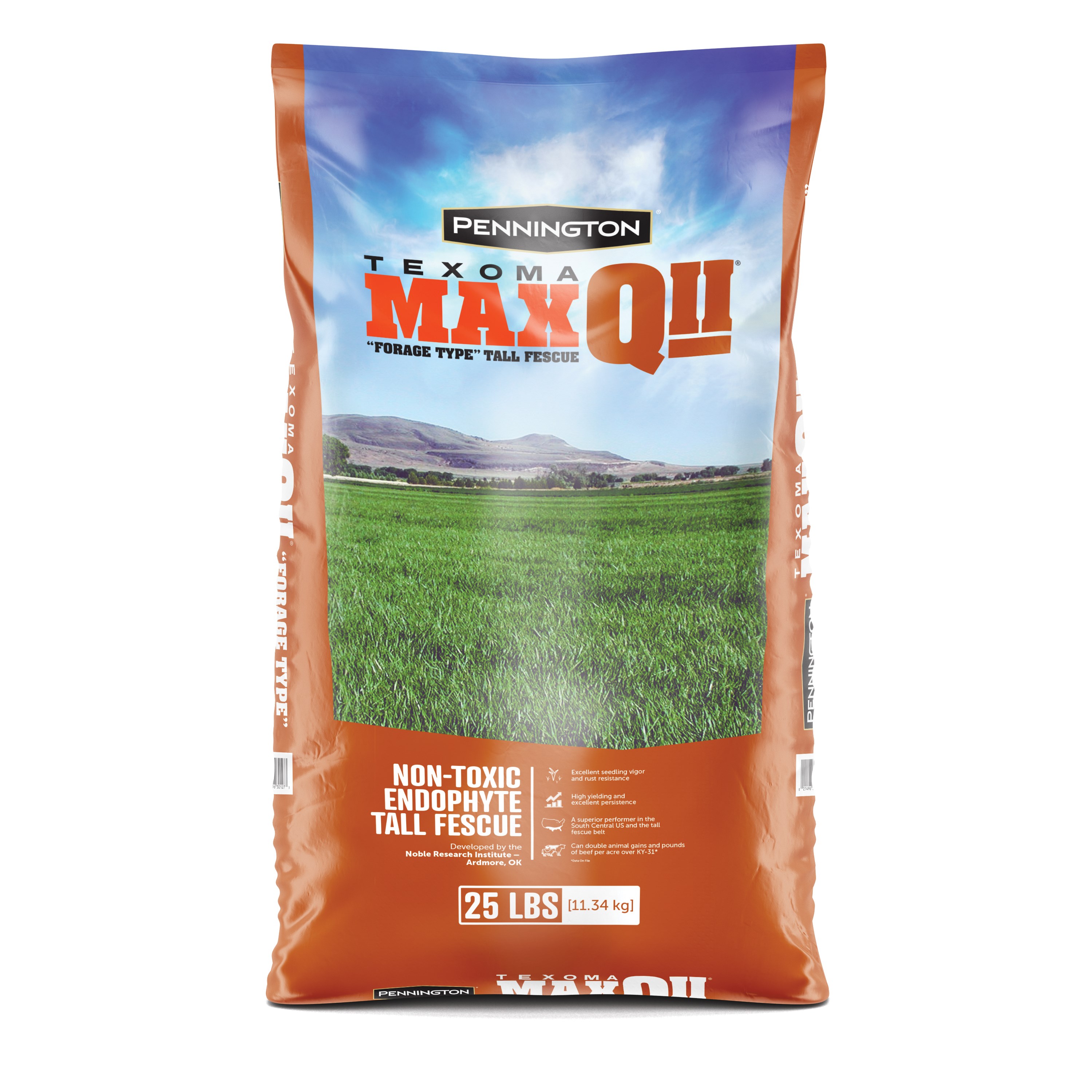 Penn 25# MaxQ II Texoma Tall Fescue