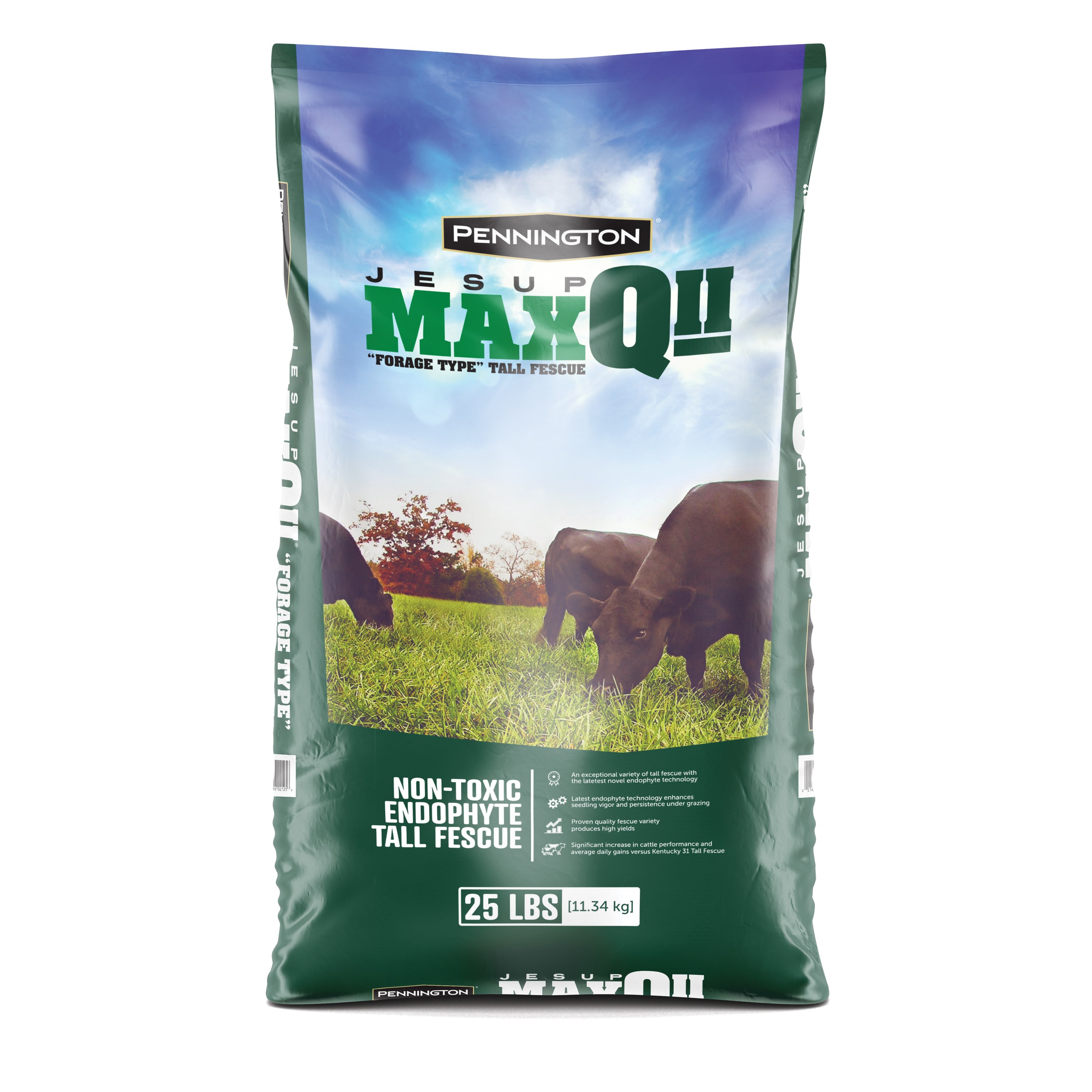 Penn 25# MaxQ II Jesup Tall Fescue