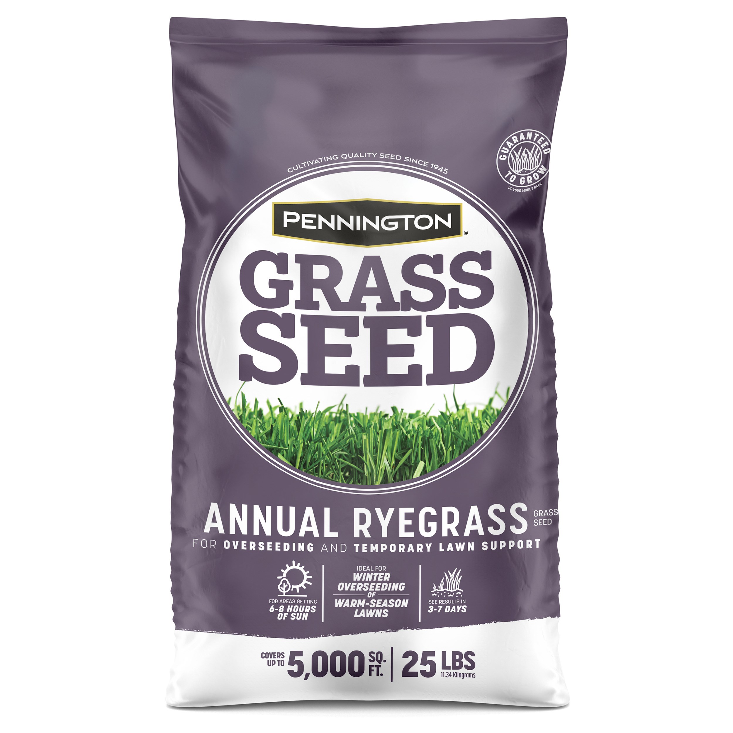 Penn 25# Annual Ryegrass Retail