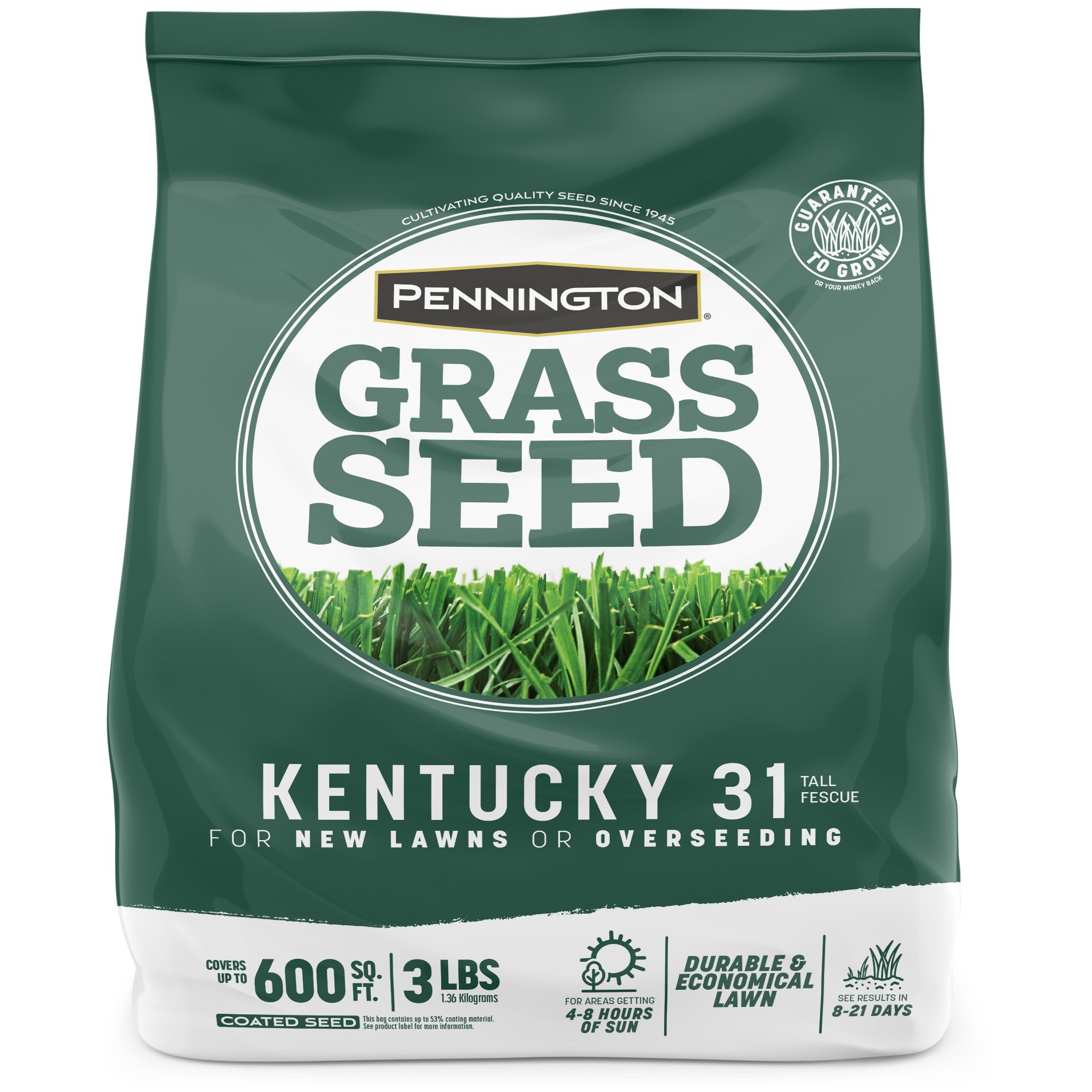 Penn 3# Kentucky 31 Fescue Pk Pencoted — priced per each; minimum 8; multiples of 8