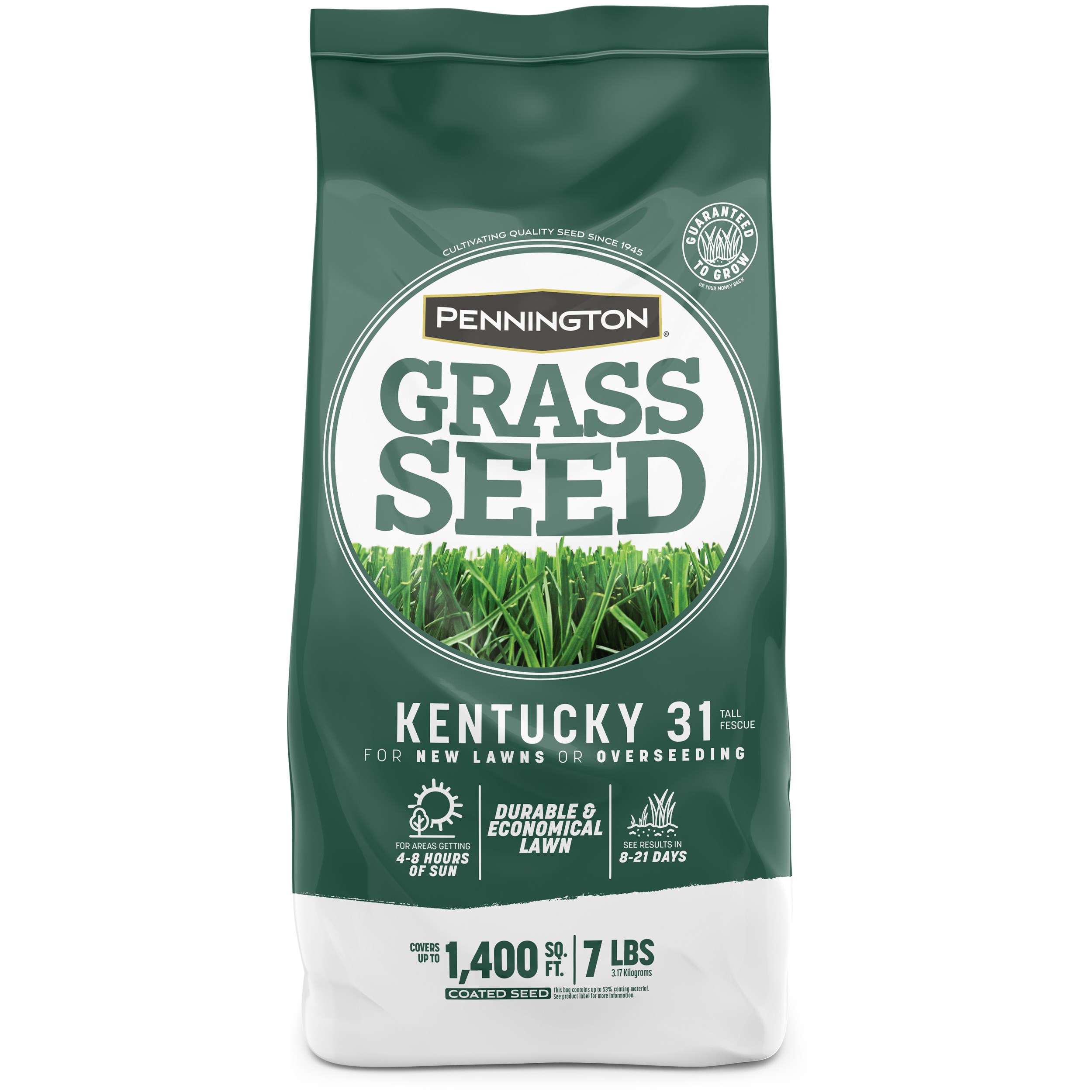Penn 7# Kentucky 31 Fescue Pk Pencoted — priced per each; minimum 4; multiples of 4