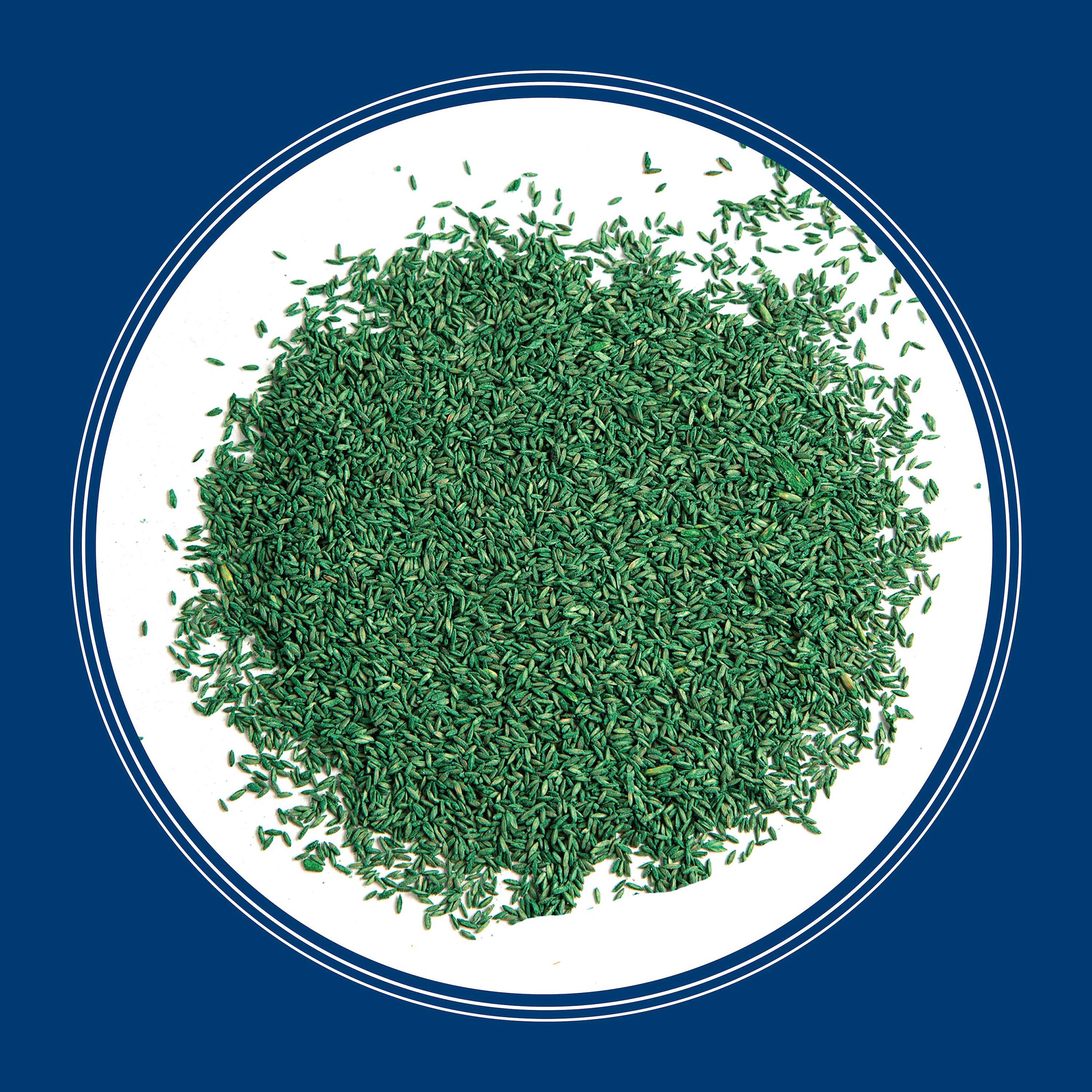 Penn 3# Smart Seed Kentucky Blue Blend Pcf - Image 4