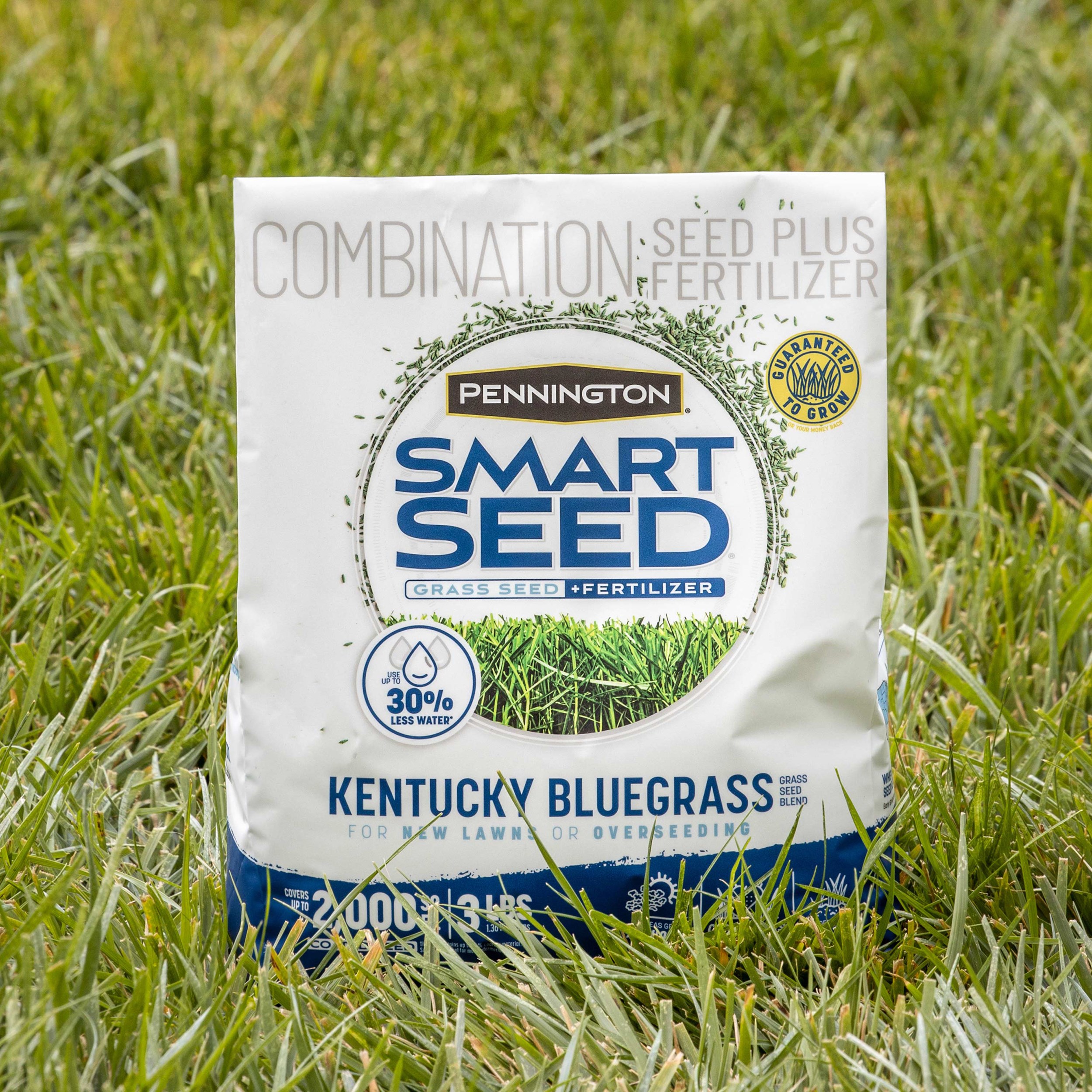 Penn 3# Smart Seed Kentucky Blue Blend Pcf - Image 5