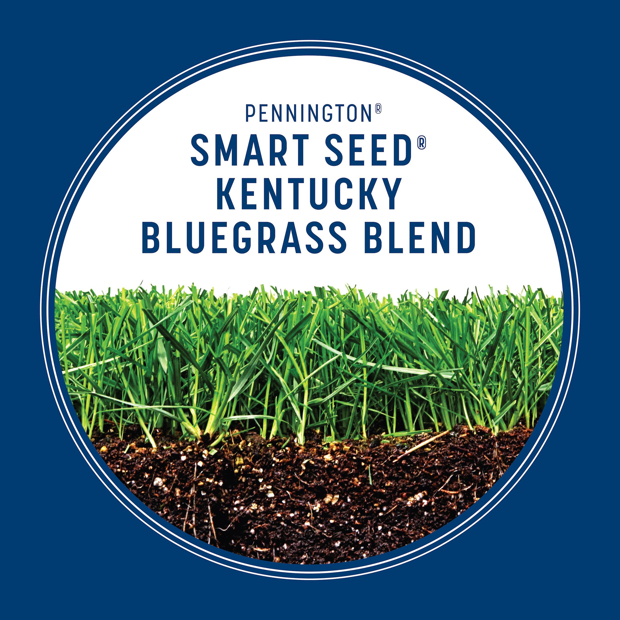 Penn 3# Smart Seed Kentucky Blue Blend Pcf - Image 9