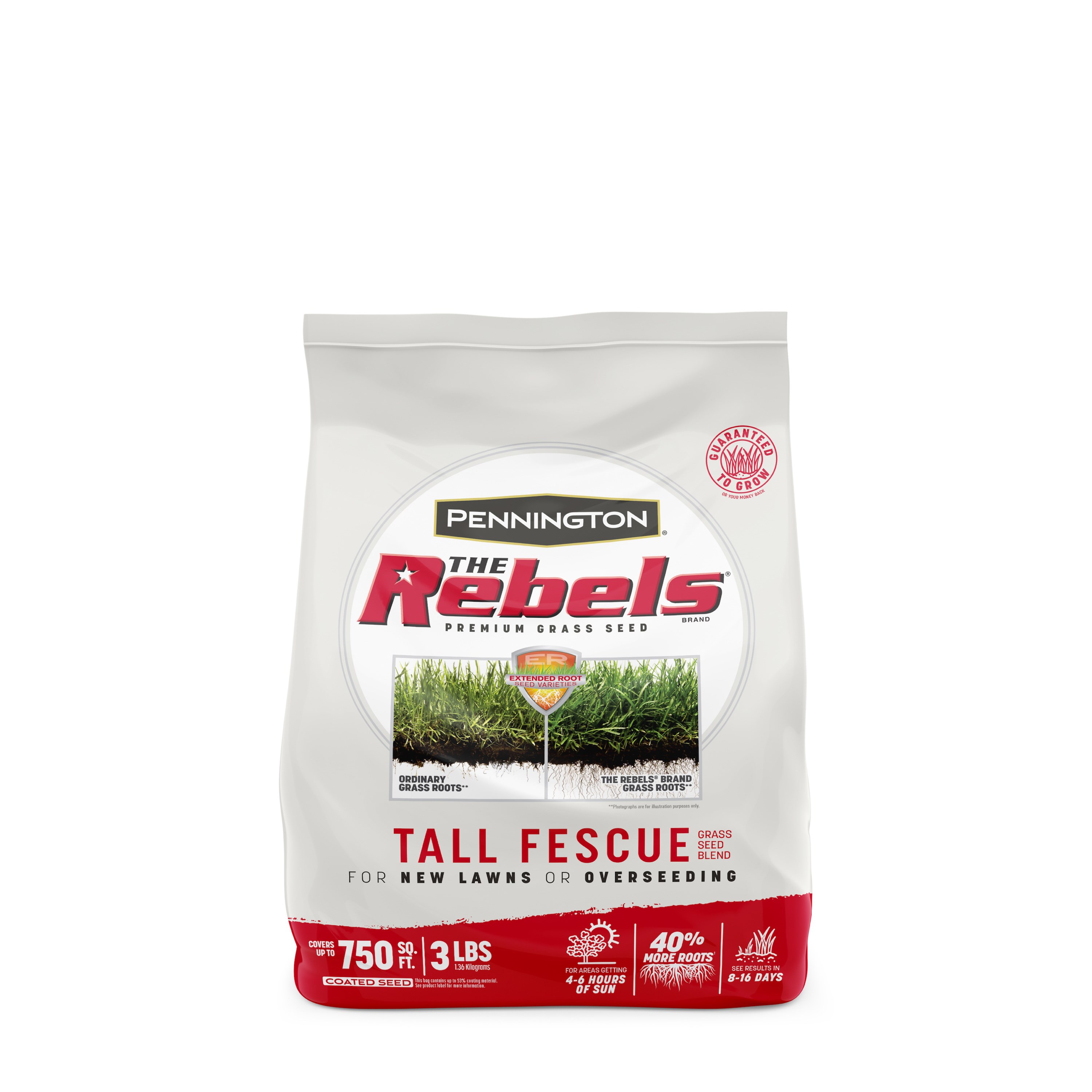 Penn 3# The Rebels Tall Fescue Blend Pc — priced per each; minimum 8; multiples of 8