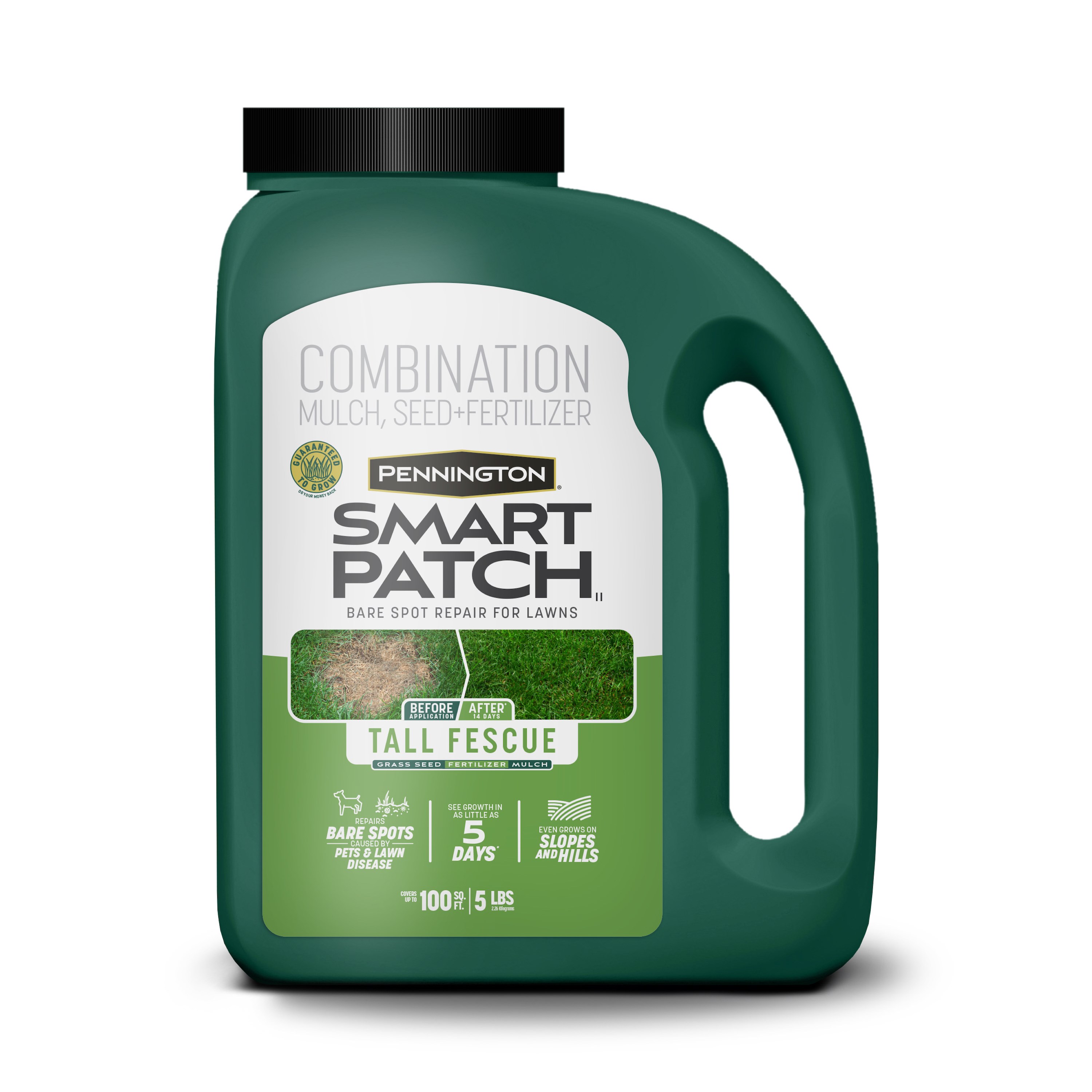 Penn 5# Smart Patch Tall Fescue Jug — priced per each; minimum 4; multiples of 4