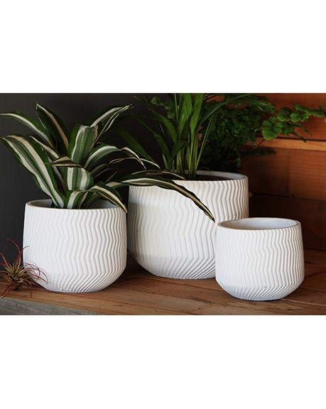 Avenue 5" Corrugated Cup Planter WCC — priced per each; minimum 12; multiples of 12