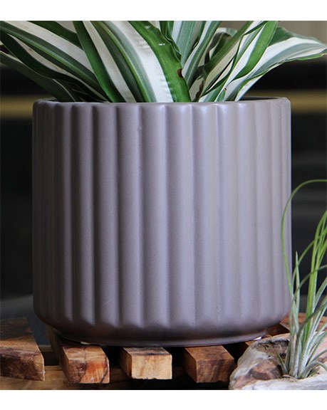 Palm Spring 6.5" Brush Comb Sgy Planter — priced per each; minimum 6; multiples of 6
