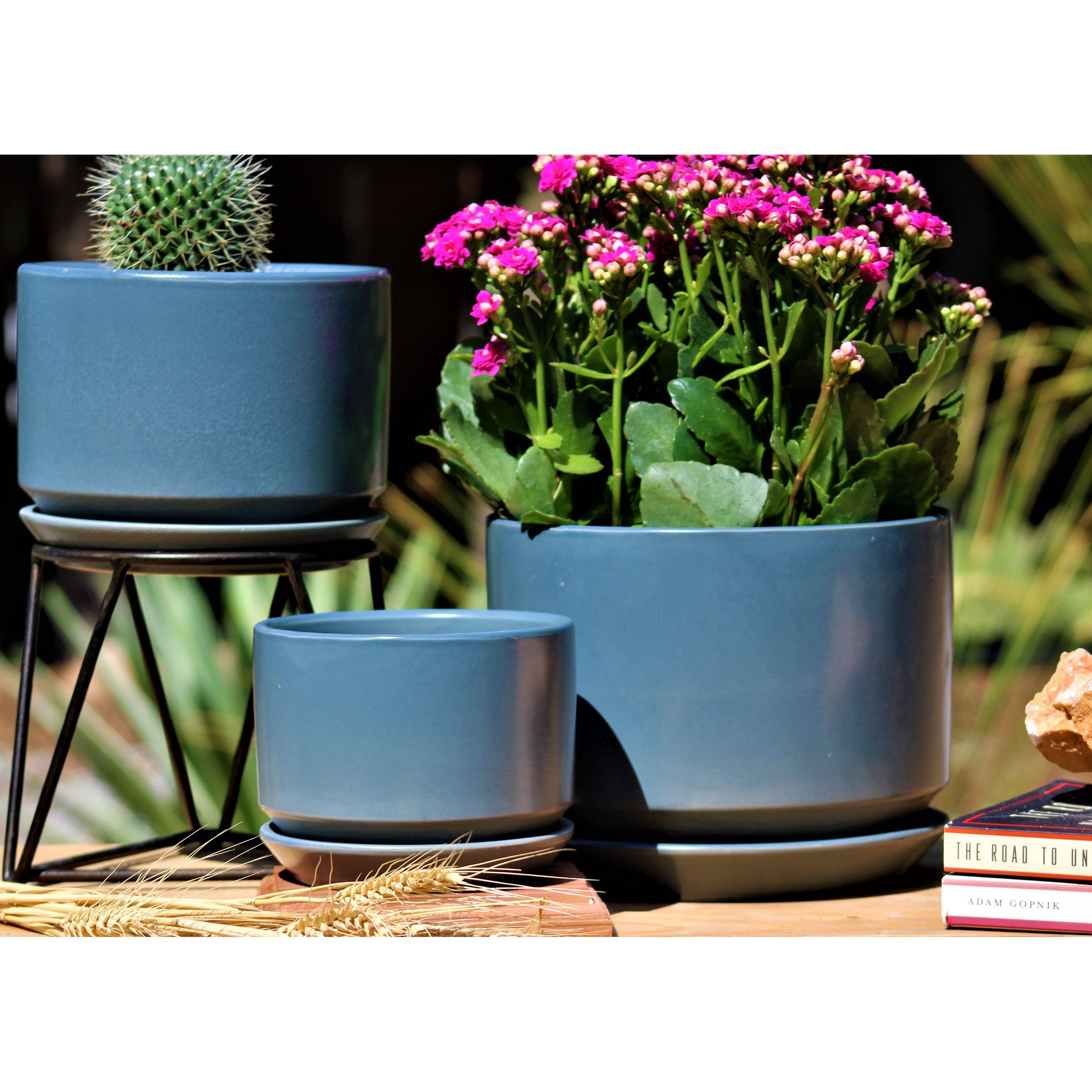 Product | BFG Supply