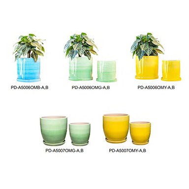 PHG 41pc Lily & Daffodil Assortment