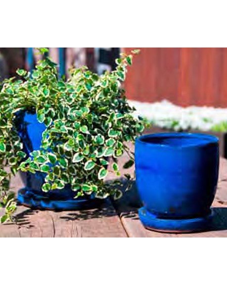 Verandah 5" Fbl Maui Pot — priced per each; minimum 6; multiples of 6