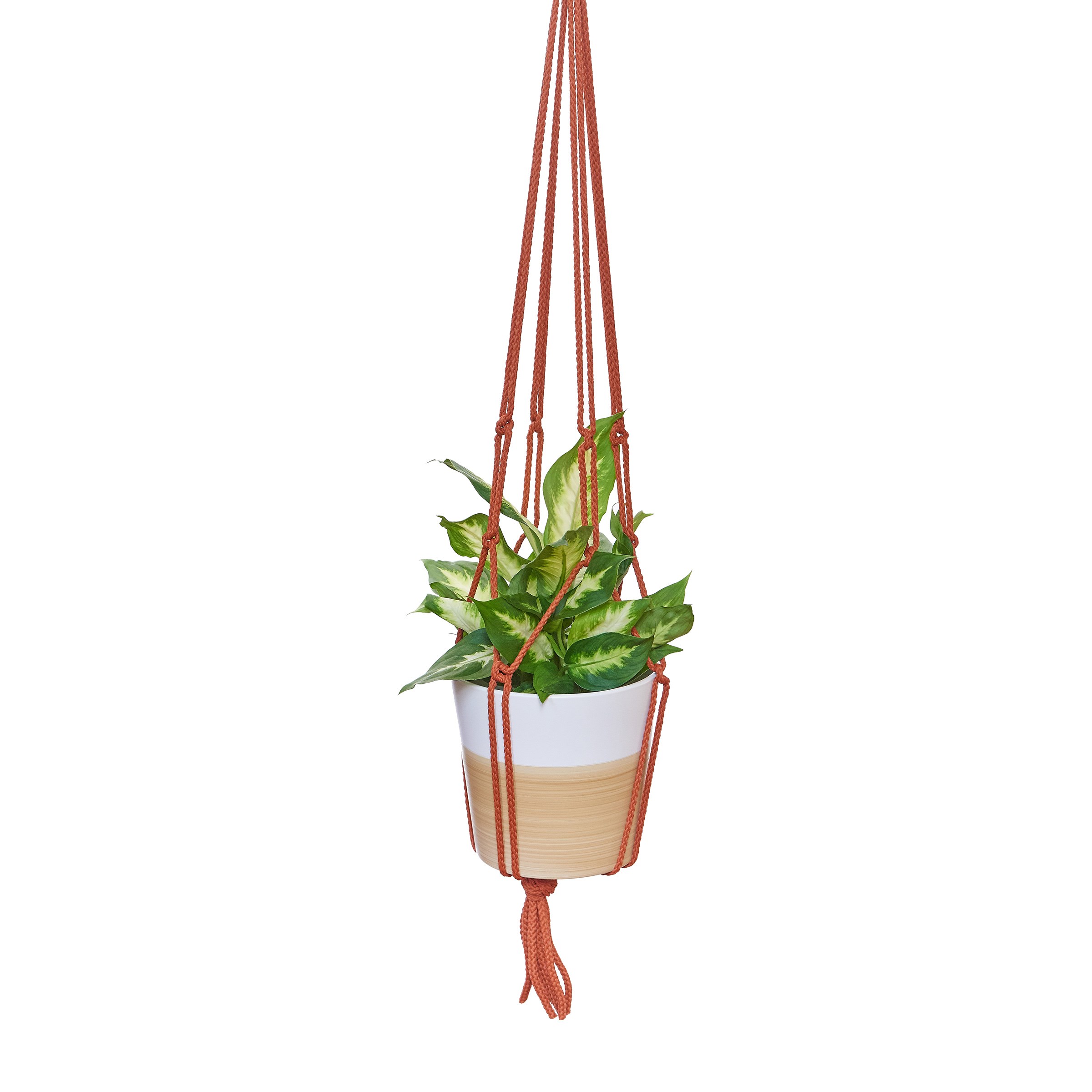 Primitive 36" Rust Macrame Plant Hanger — priced per each; minimum 12; multiples of 12
