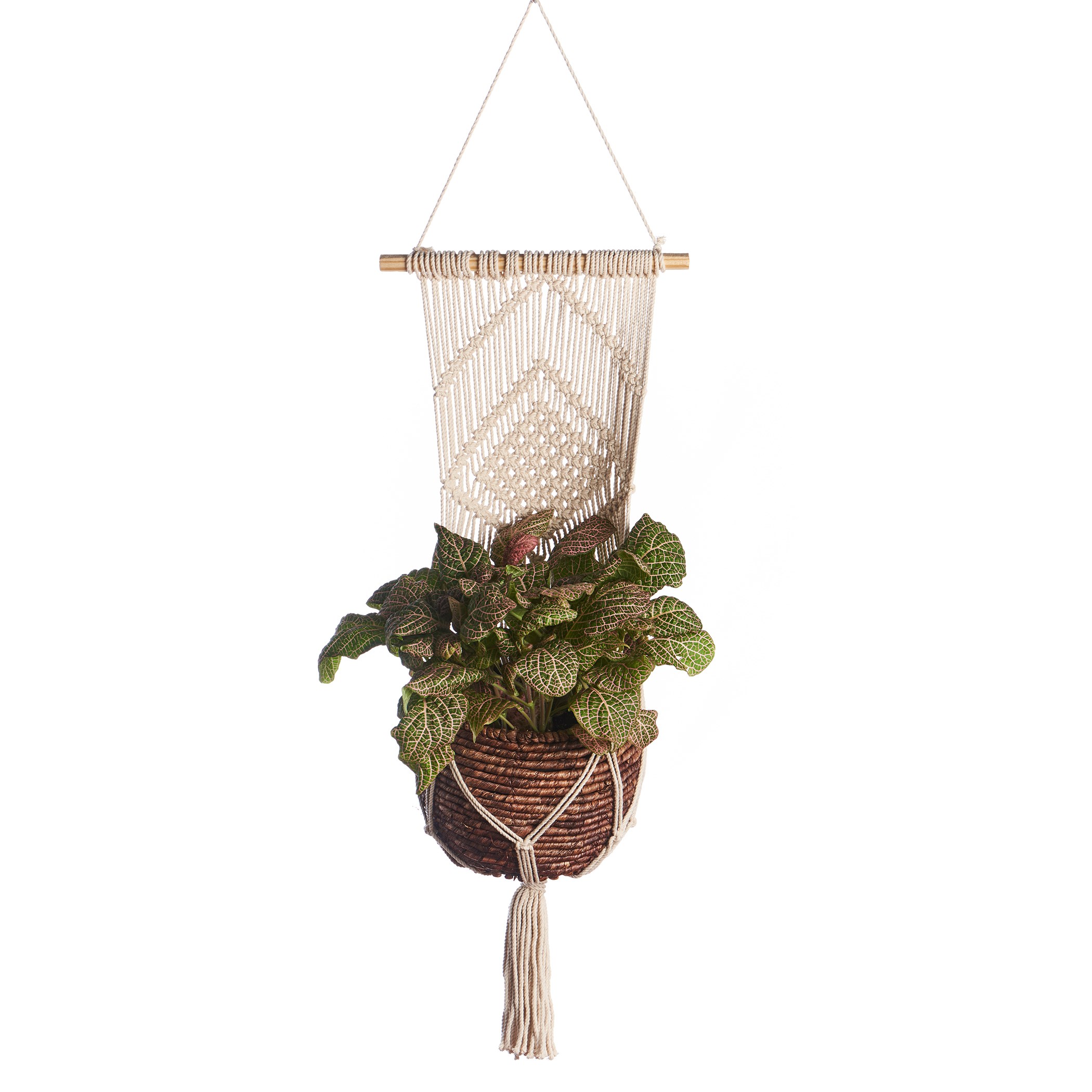 Primitive Large Wall Planter Diamond — priced per each; minimum 6; multiples of 6
