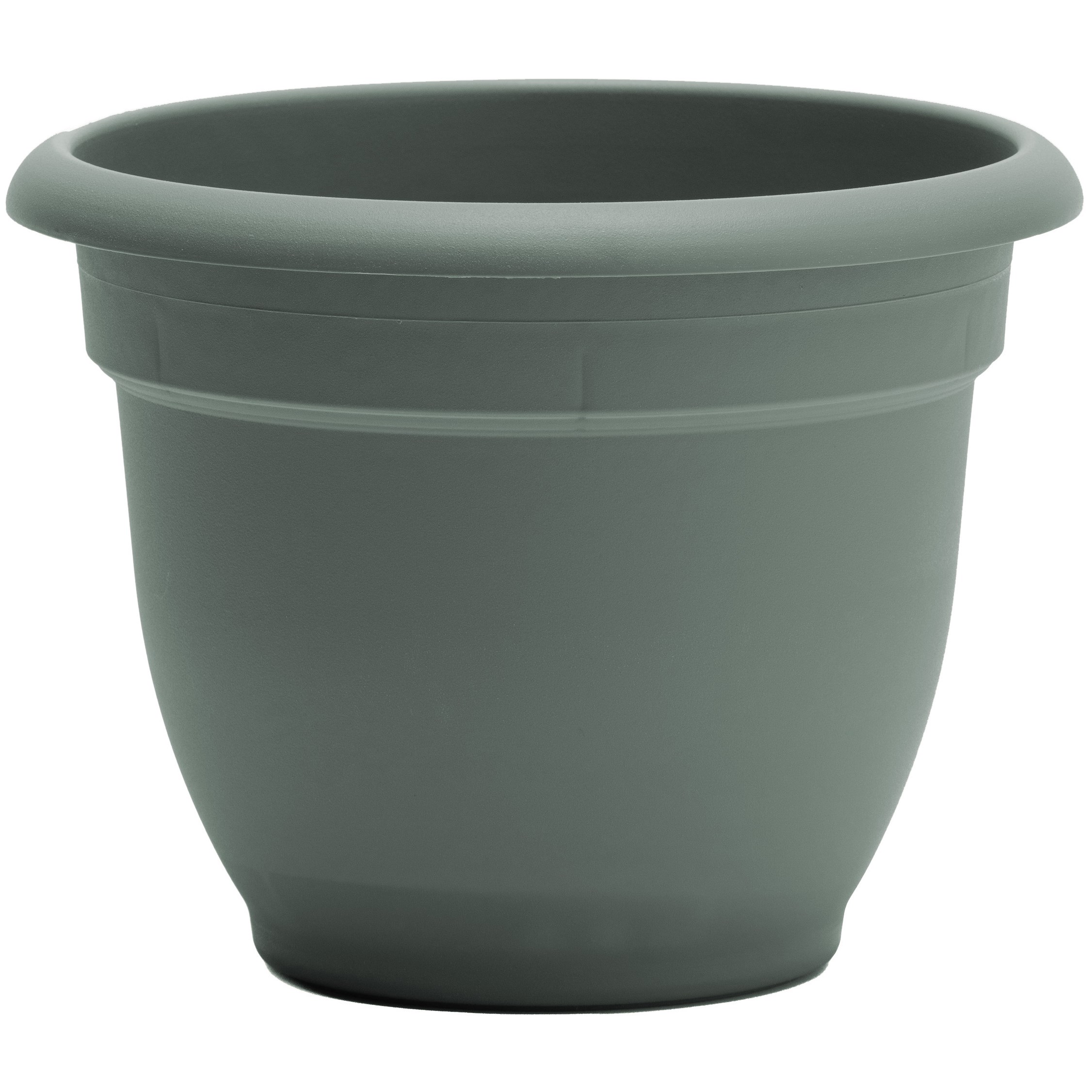 Bloem 10" Ariana Planter Basil