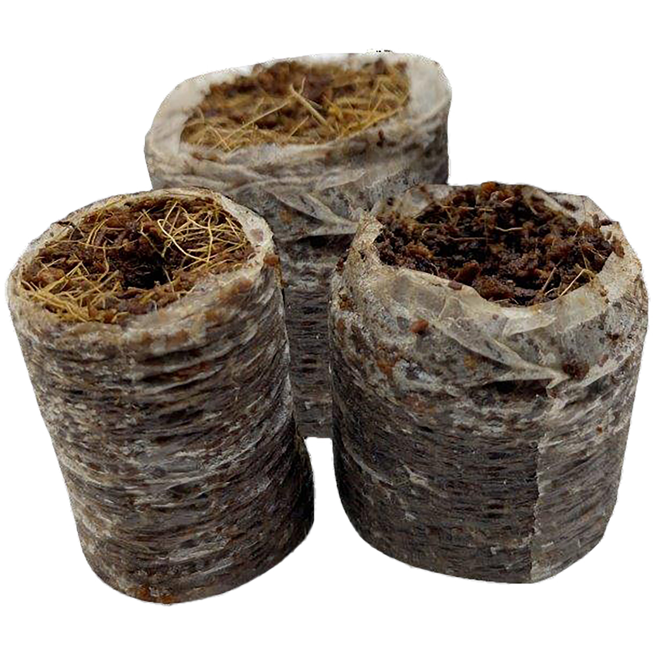 Riococo 32mm PCM Plug — priced per each; minimum 2500; multiples of 2500