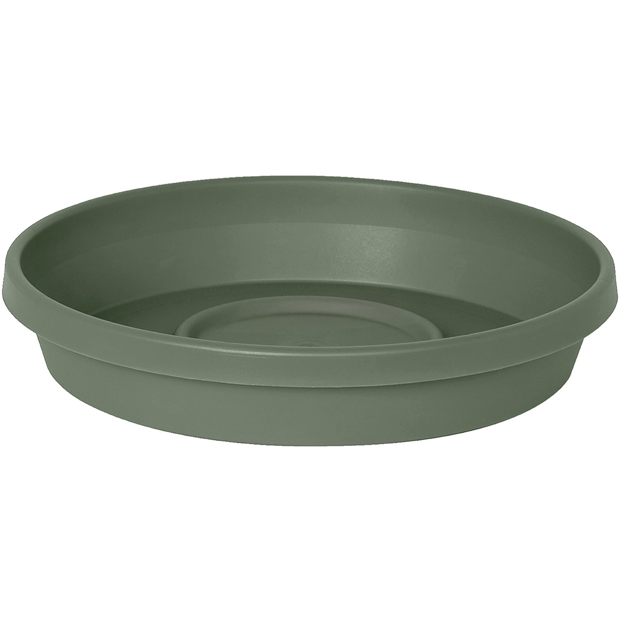 Bloem 20" Terra Saucer Basil