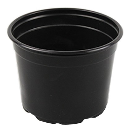 Grower Select 05.00 Coex Azalea Round Pot Black — Case of 1120