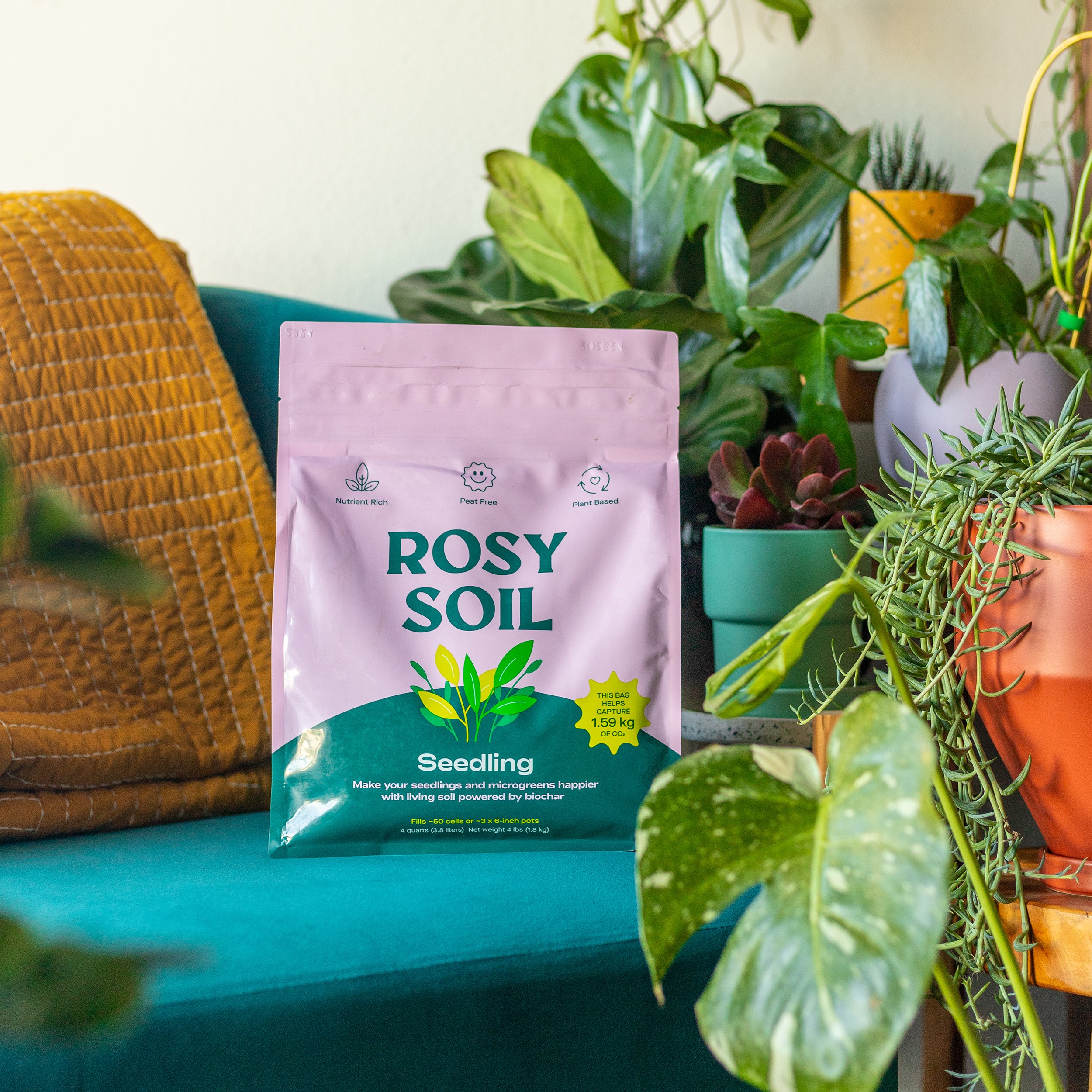 Rosy Soil 4qt Seedling Mix — priced per each; minimum 8; multiples of 8