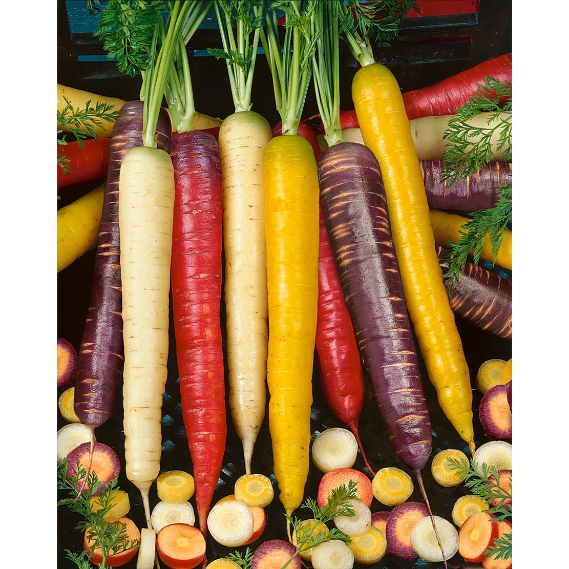 Carrot, Rainbow Blend 1000 Seed Count