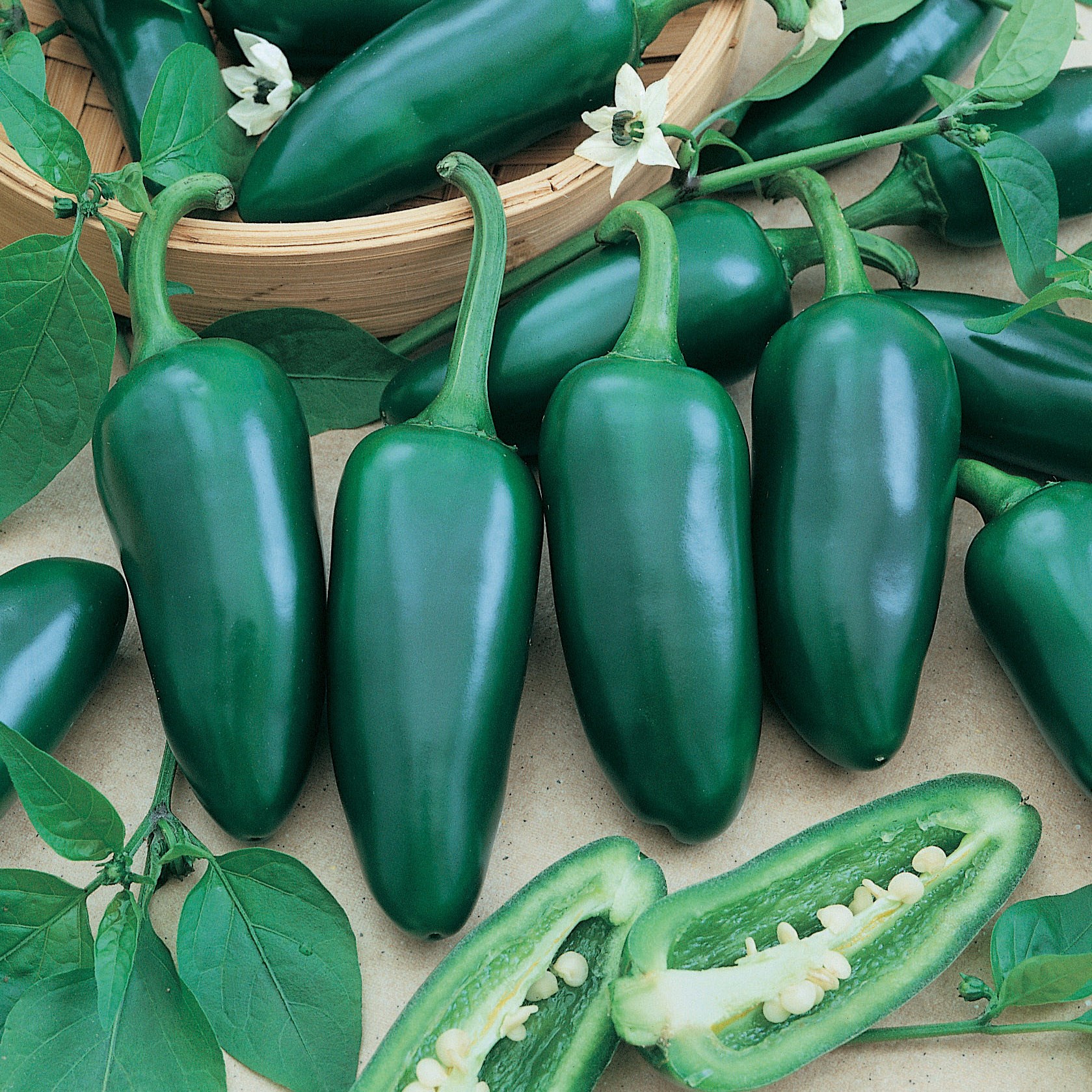 Peppers, Early Jalapeno 1000 Seed Count