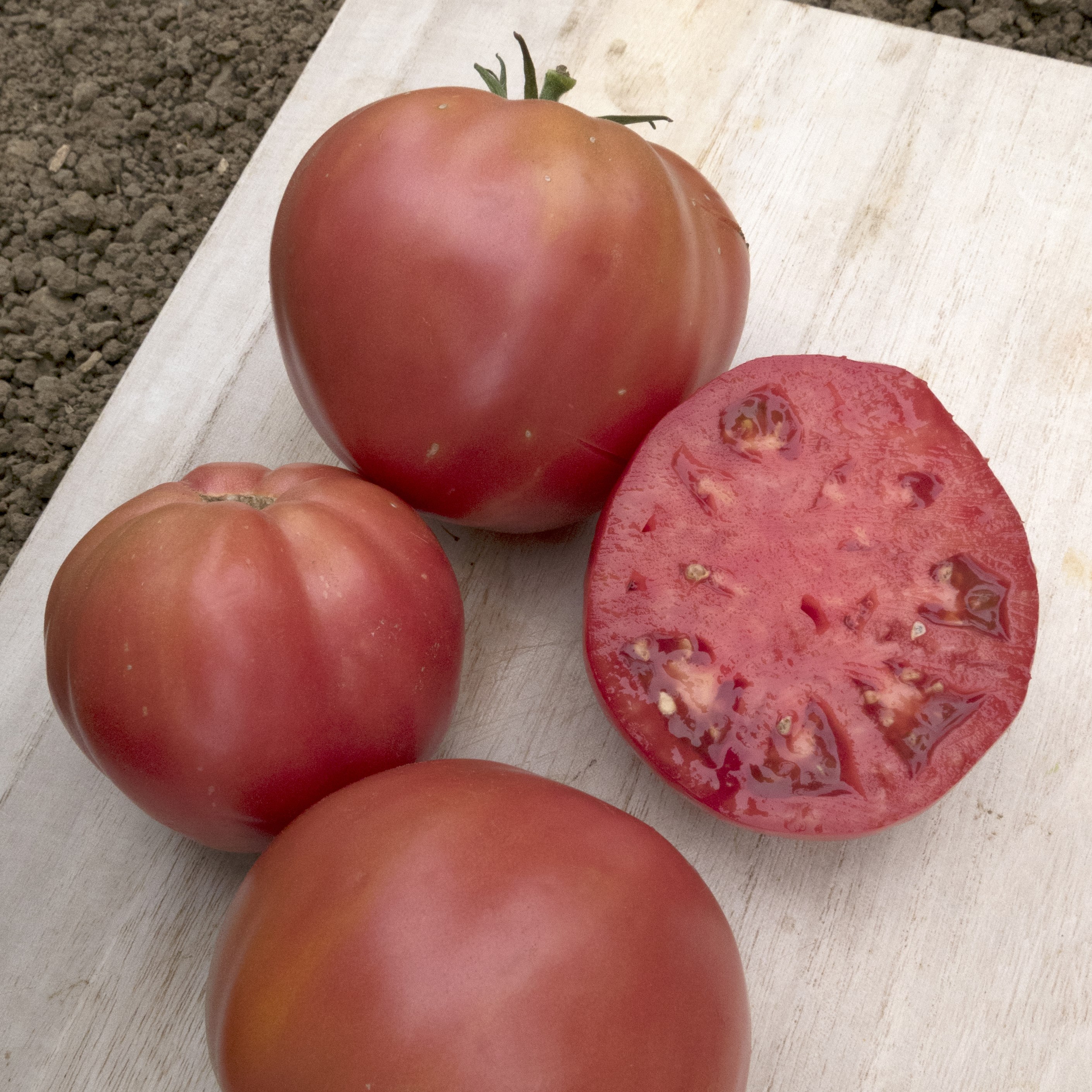Tomato, Brandywine Pink Potato Leaf 500 Seed Count