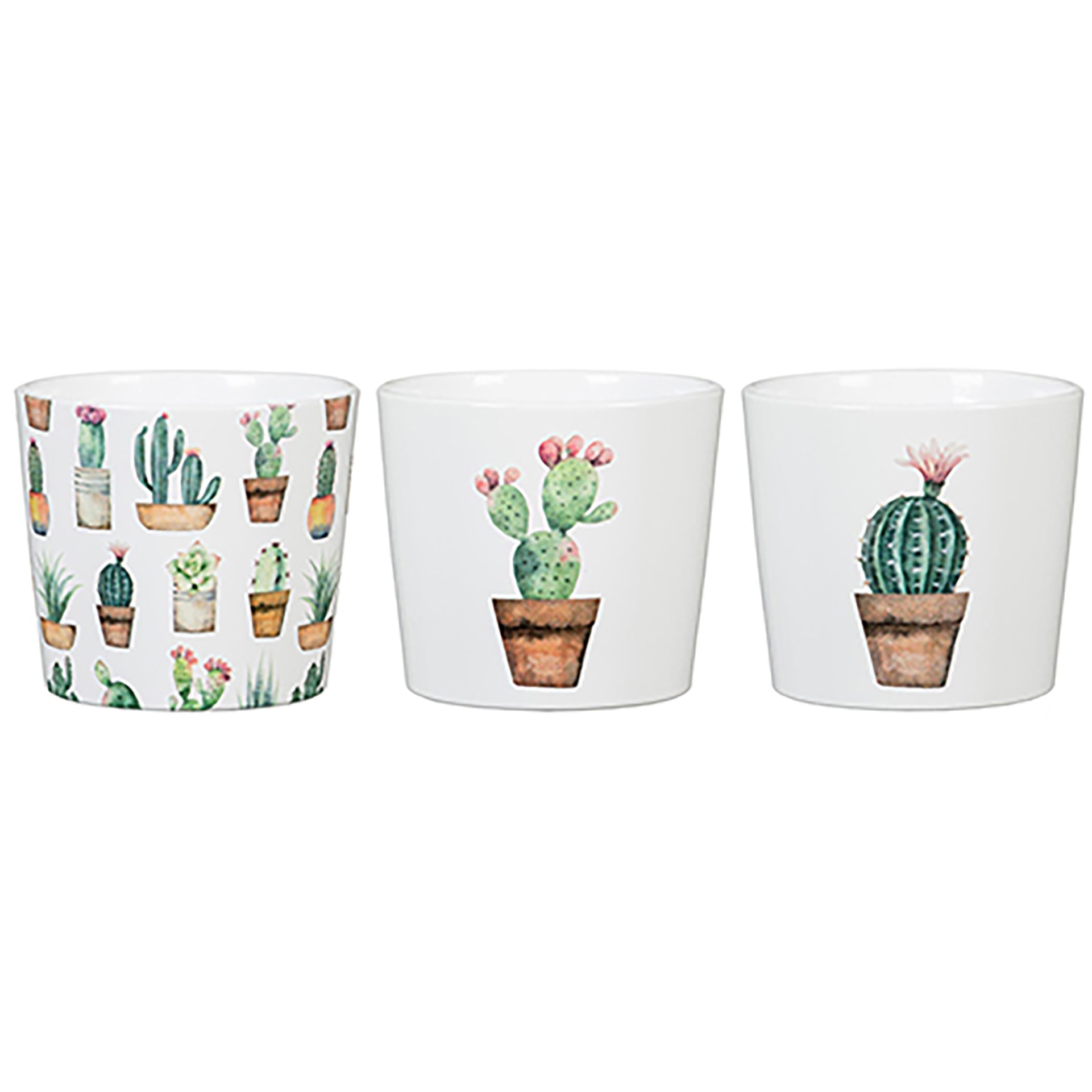 Scheurich 2.75" Cactus Gdn Asst 870/07 Planter — priced per each; minimum 92; multiples of 92