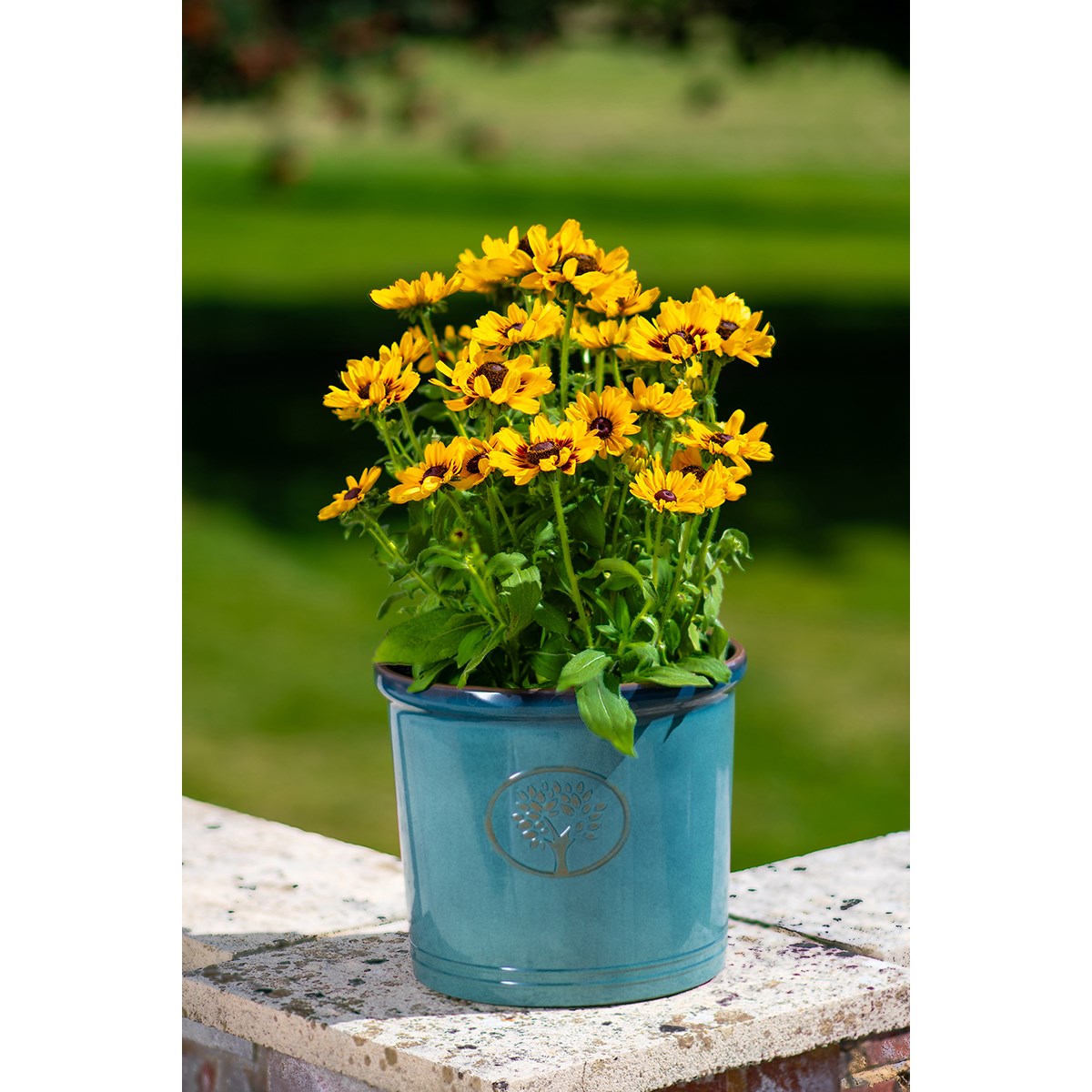 Sun Ceramica 12" Cotswold Cylinder Aqua - Image 3