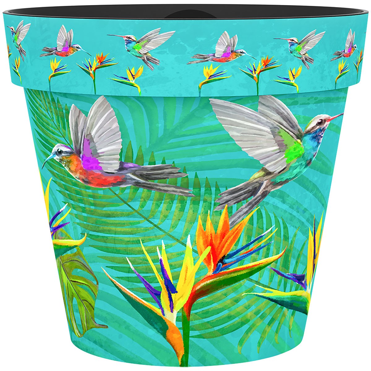 Sun Ceramica 6" Zest Poly Pot Hummingbird