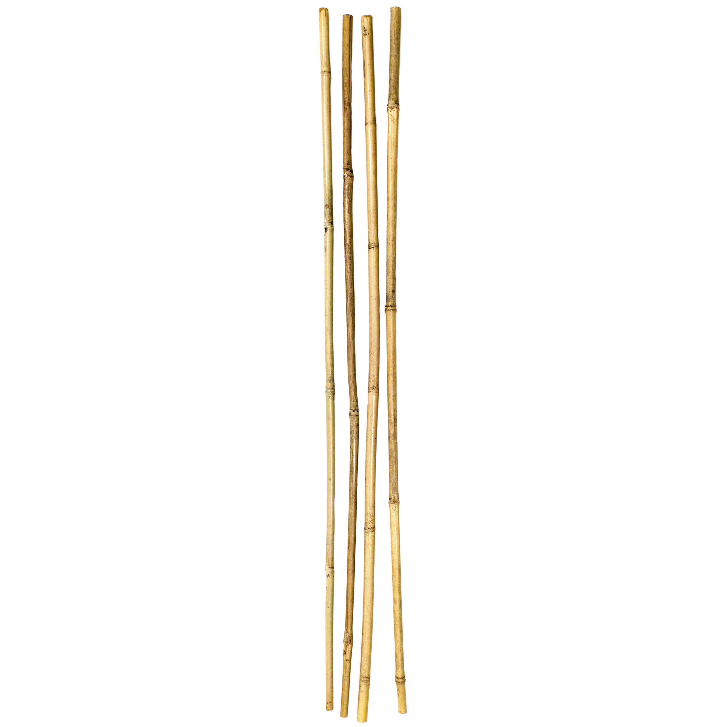 SuperMoss 4pk 36" Bamboo Stakes Natural