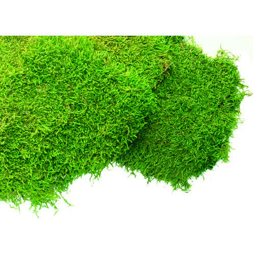 SuperMoss 1560cu in Bulk Sheet Moss Fresh Green (Covers 16-18sq ft)
