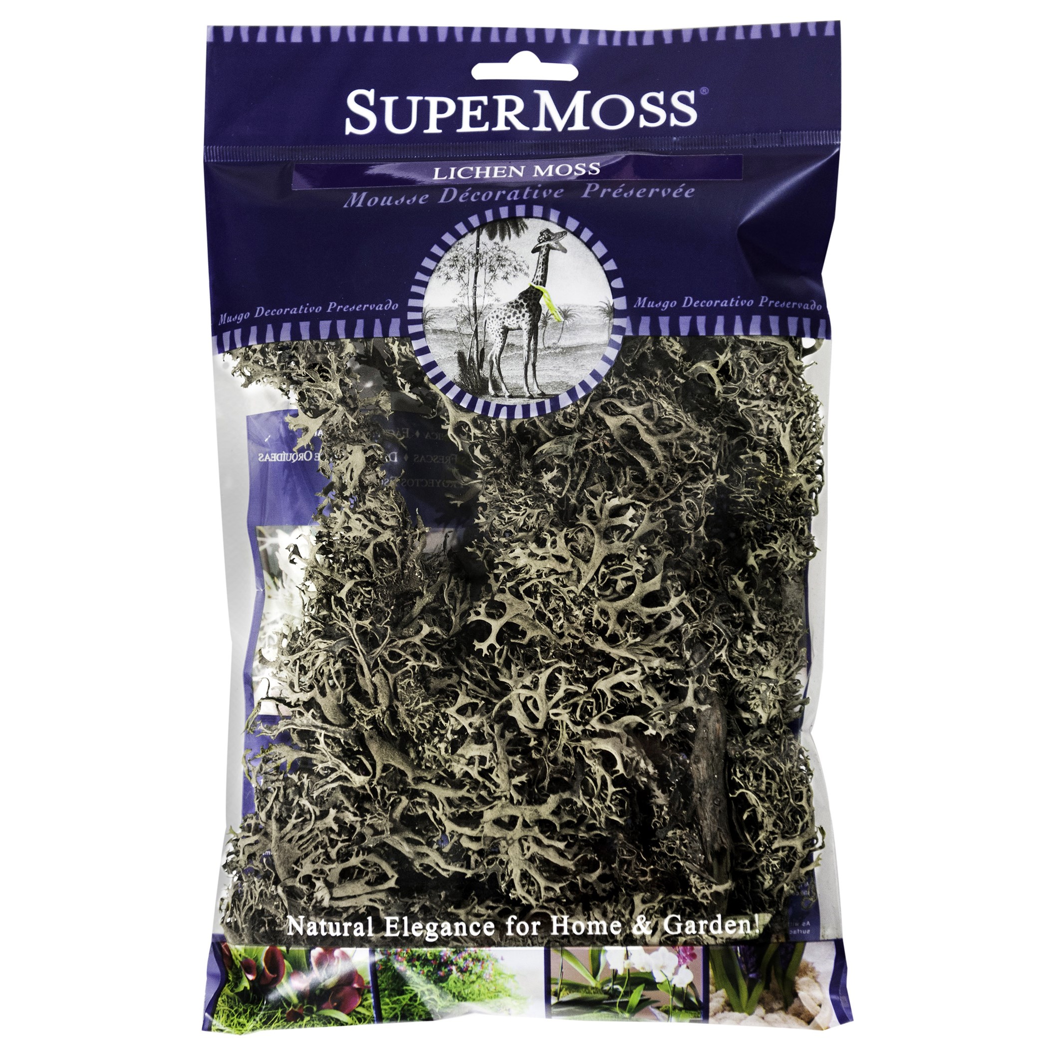 SuperMoss 4oz Lichen Parmeli Natural