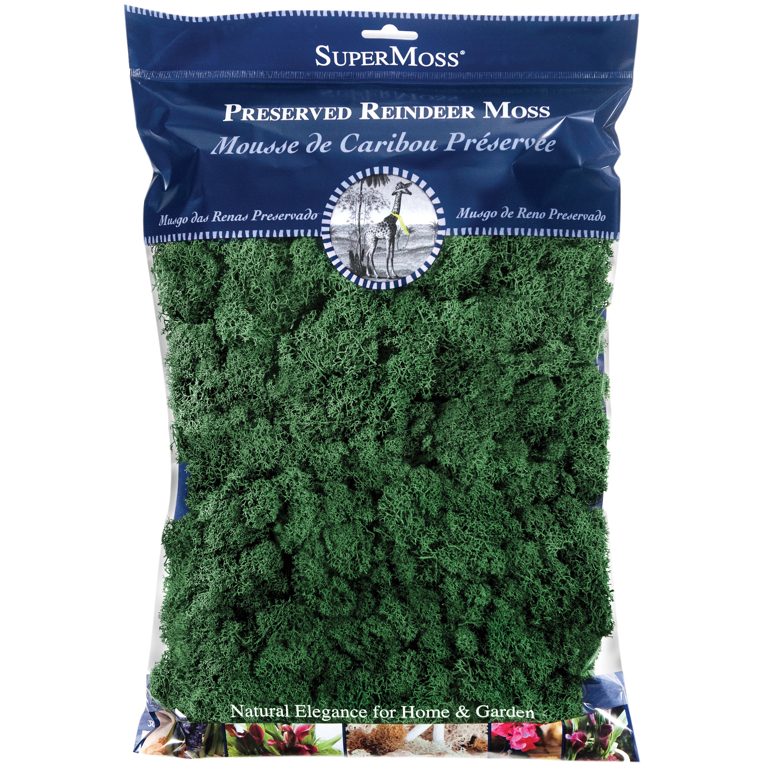 SuperMoss 8oz Reindeer Moss Forest Green — priced per each; minimum 10; multiples of 10