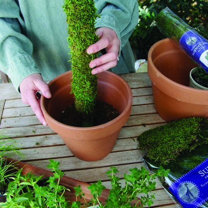 SuperMoss 2.5' Moss Pole Preserved