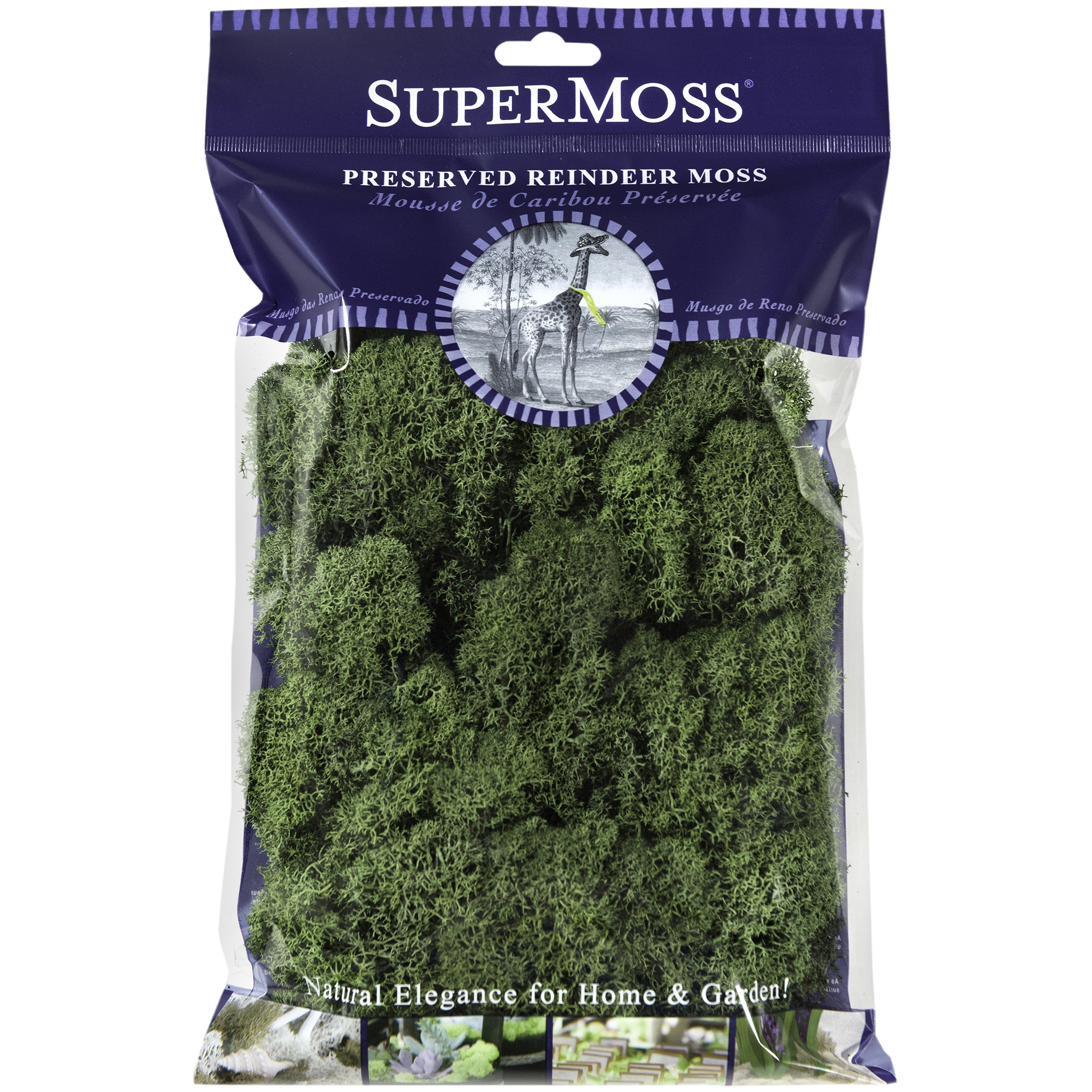 SuperMoss 2oz Reindeer Moss Basil