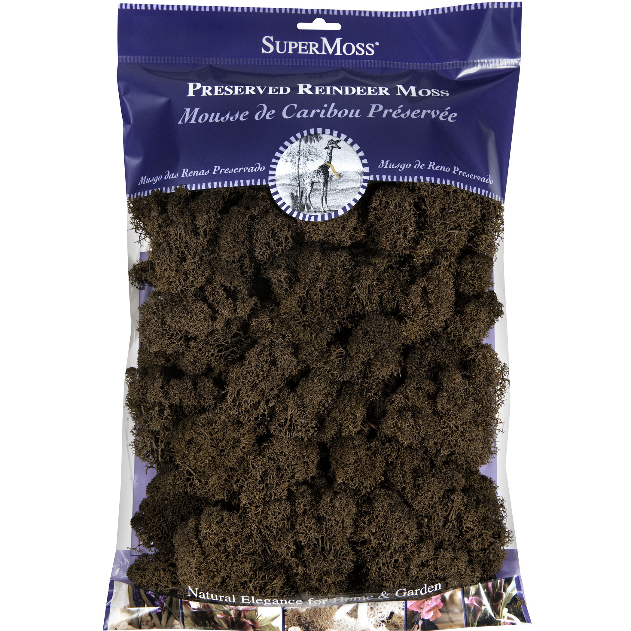 SuperMoss 8oz Reindeer Moss Preserved Brown
