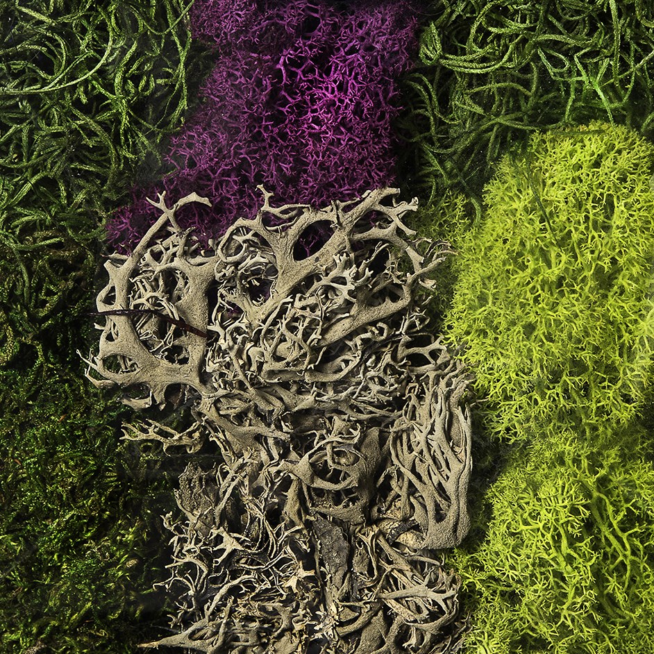 SuperMoss 8oz Moss Mix Assorted Best Sellers — priced per each; minimum 10; multiples of 10