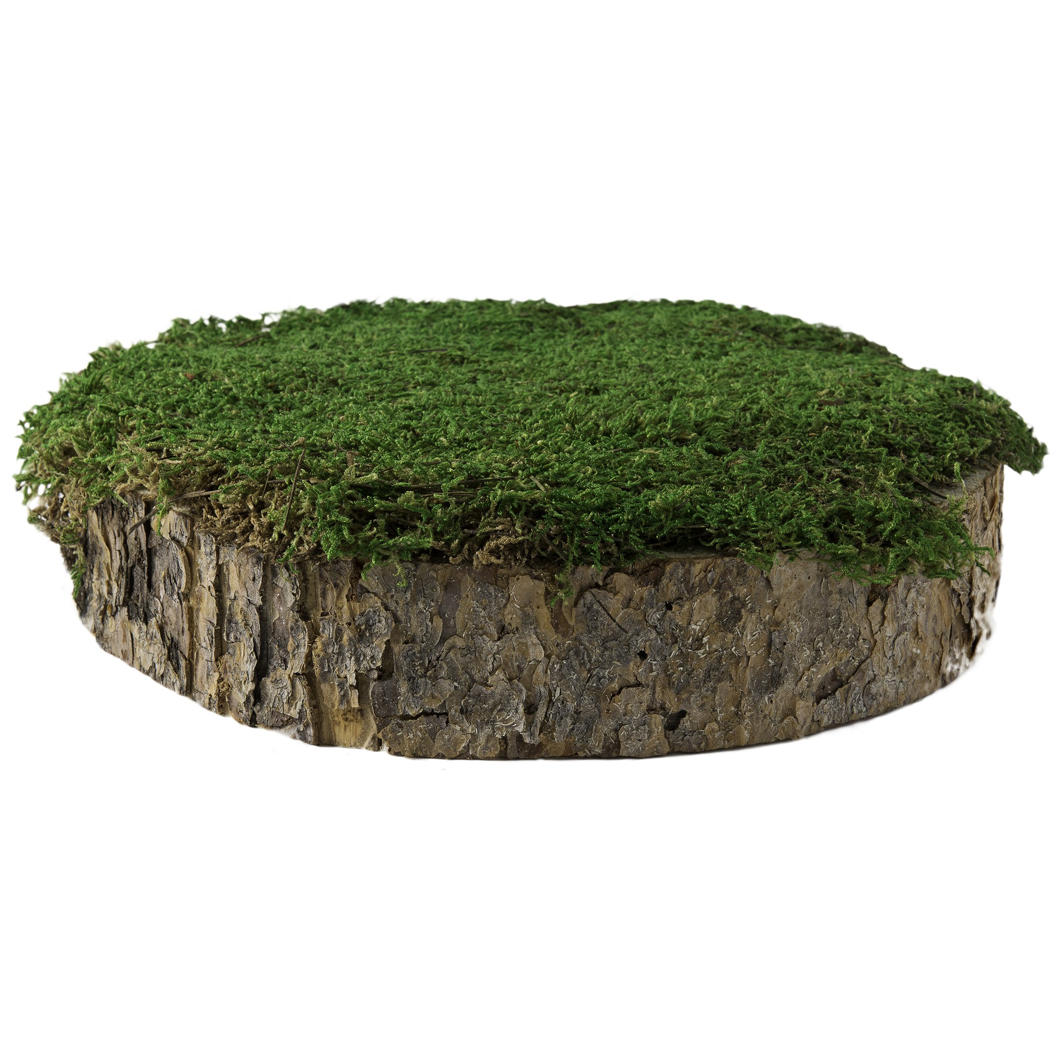 SuperMoss 2" MossyTree Stump Fresh Green — priced per each; minimum 6; multiples of 6