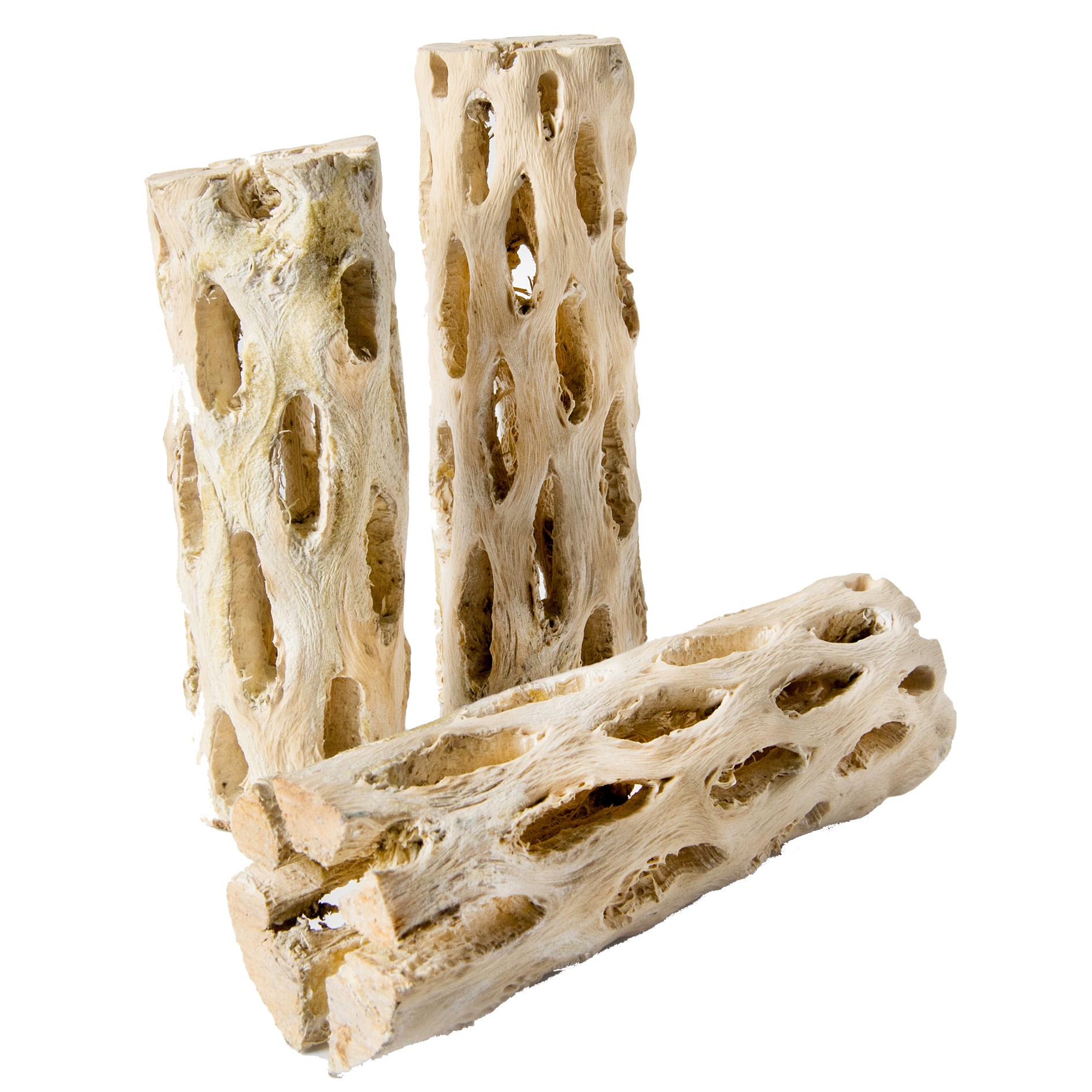 SuperMoss 3pk 6" Cholla Wood