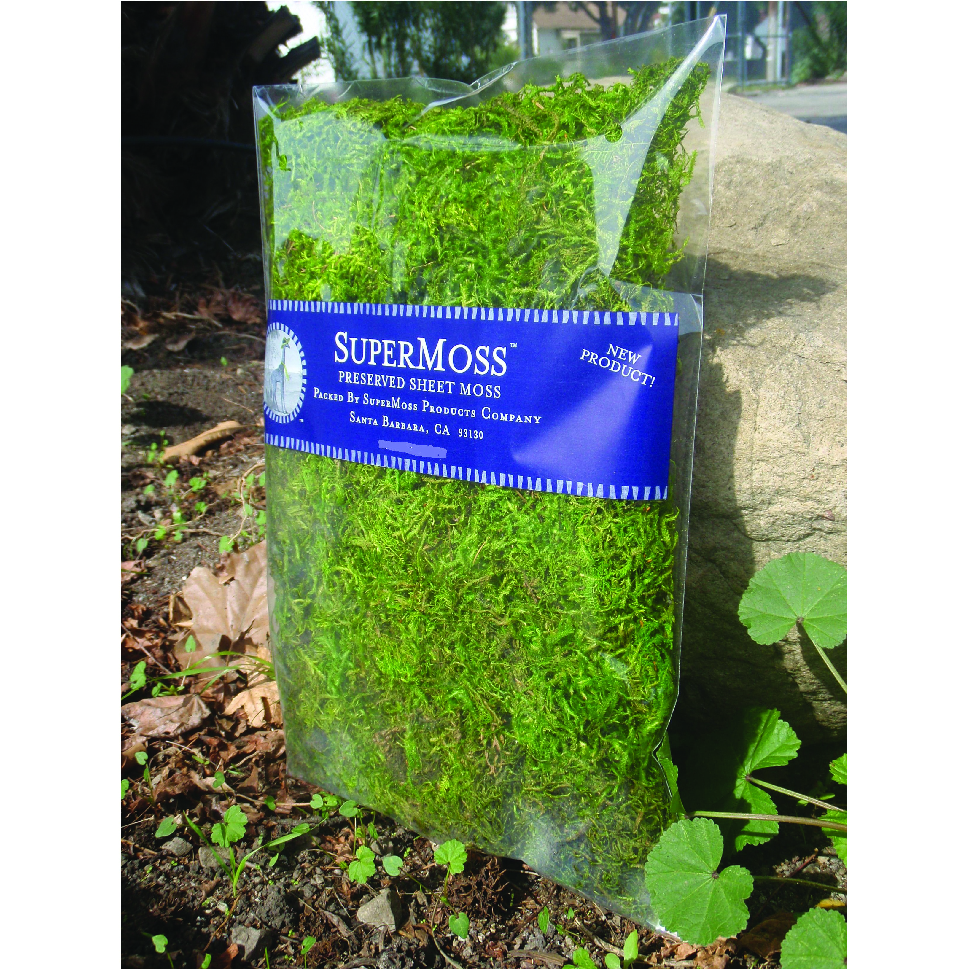 SuperMoss 16oz Forest Moss Preserved Fresh Green — priced per each; minimum 10; multiples of 10