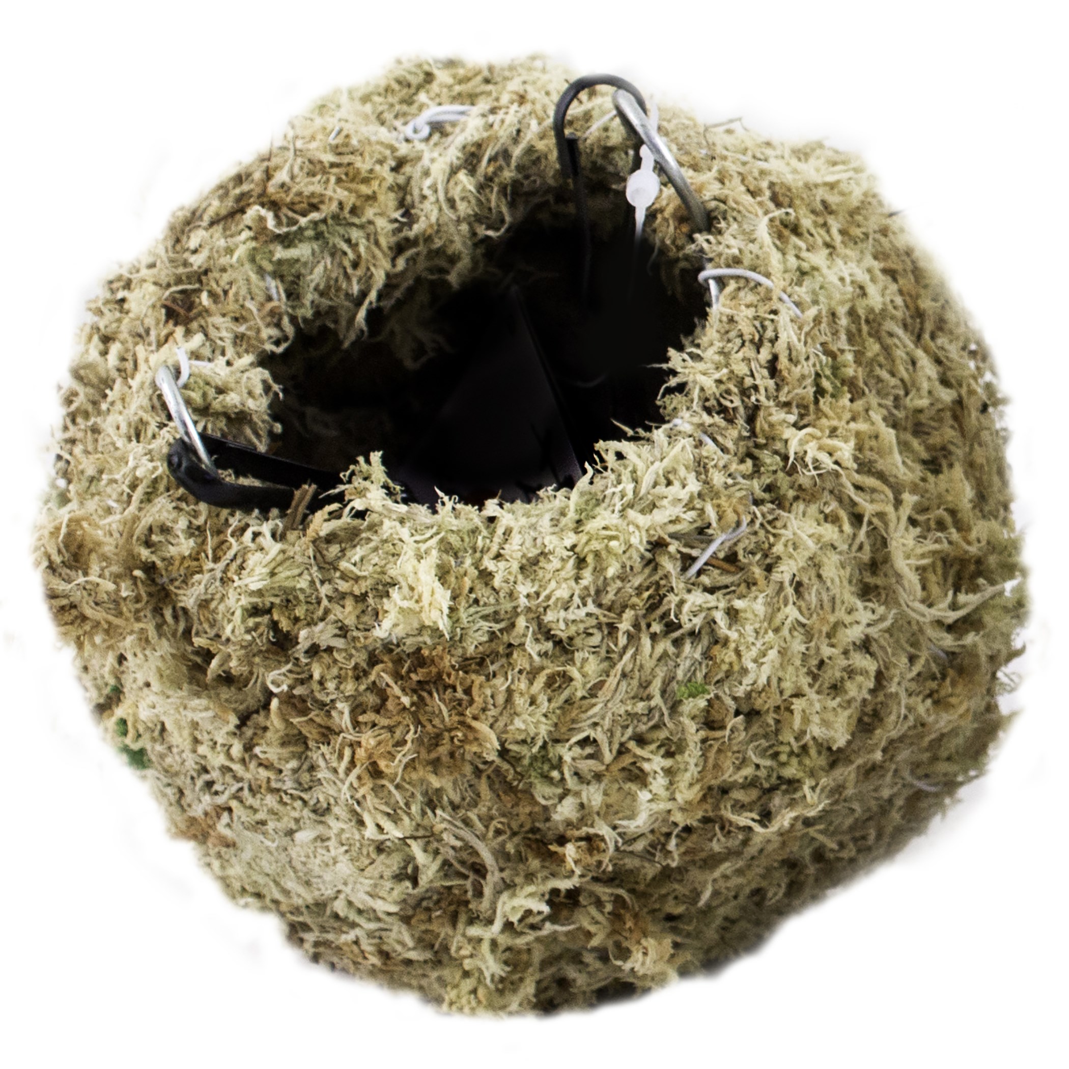 SuperMoss 4" Kokedama Sphagnum Ball Planter — priced per each; minimum 6; multiples of 6